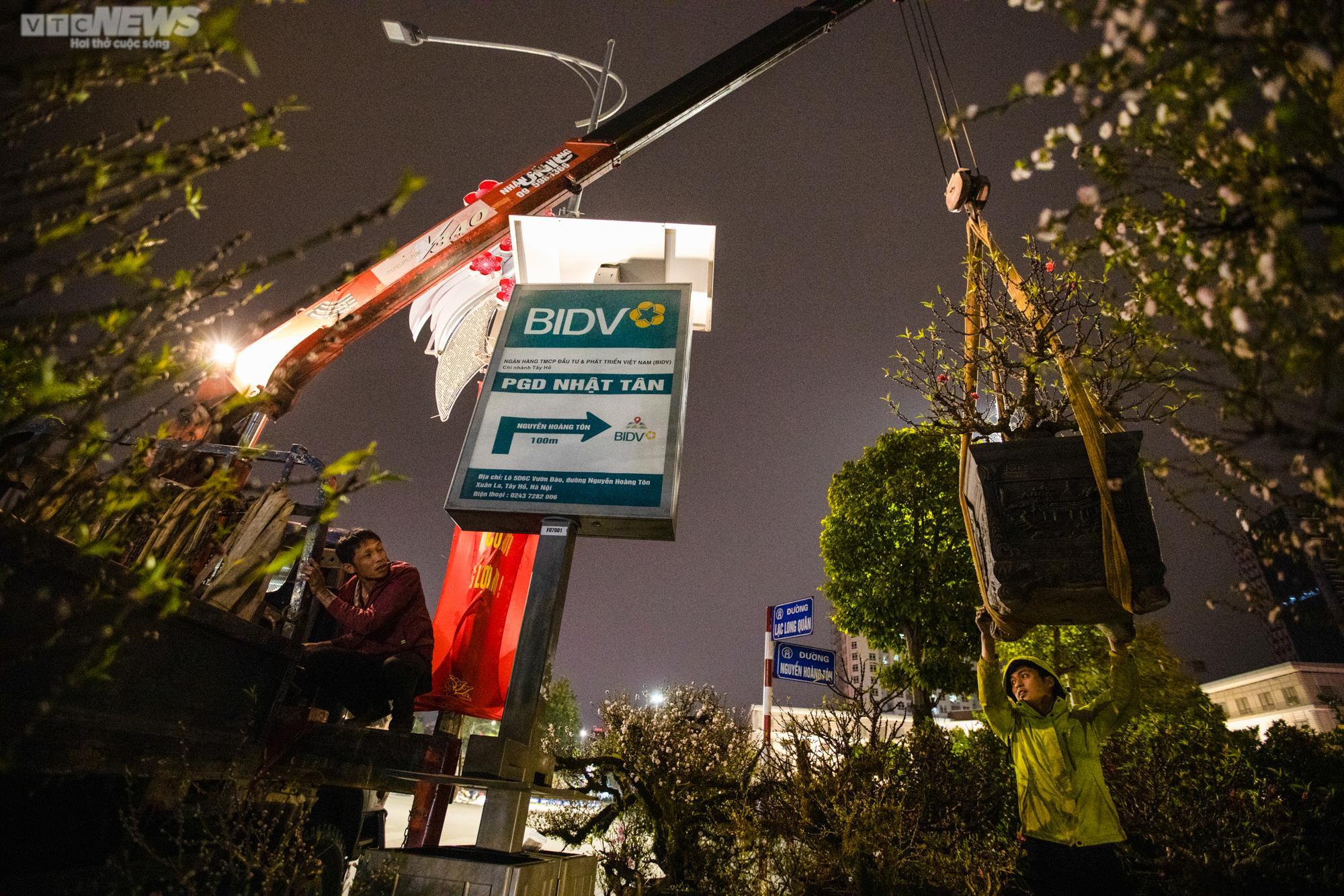 Tiểu thương trùm chăn dưới trời rét buốt, thấp thỏm trông cây cảnh qua đêm - 12