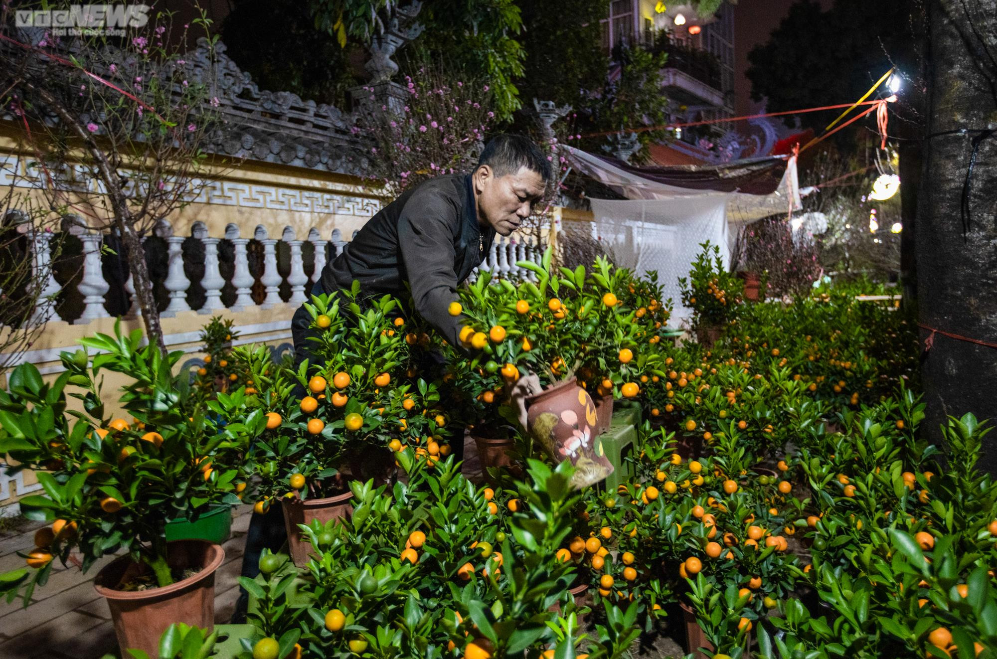 Tiểu thương trùm chăn dưới trời rét buốt, thấp thỏm trông cây cảnh qua đêm - 2