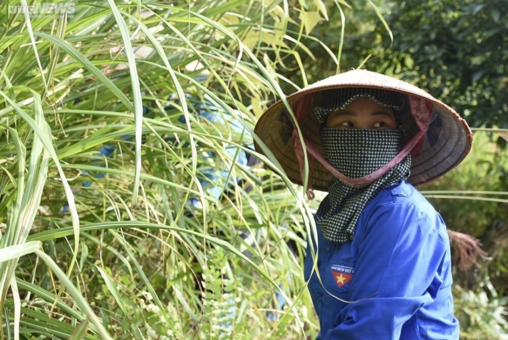 Những ‘bóng hồng’ Sán Chỉ mặc váy ra sân cỏ - 3
