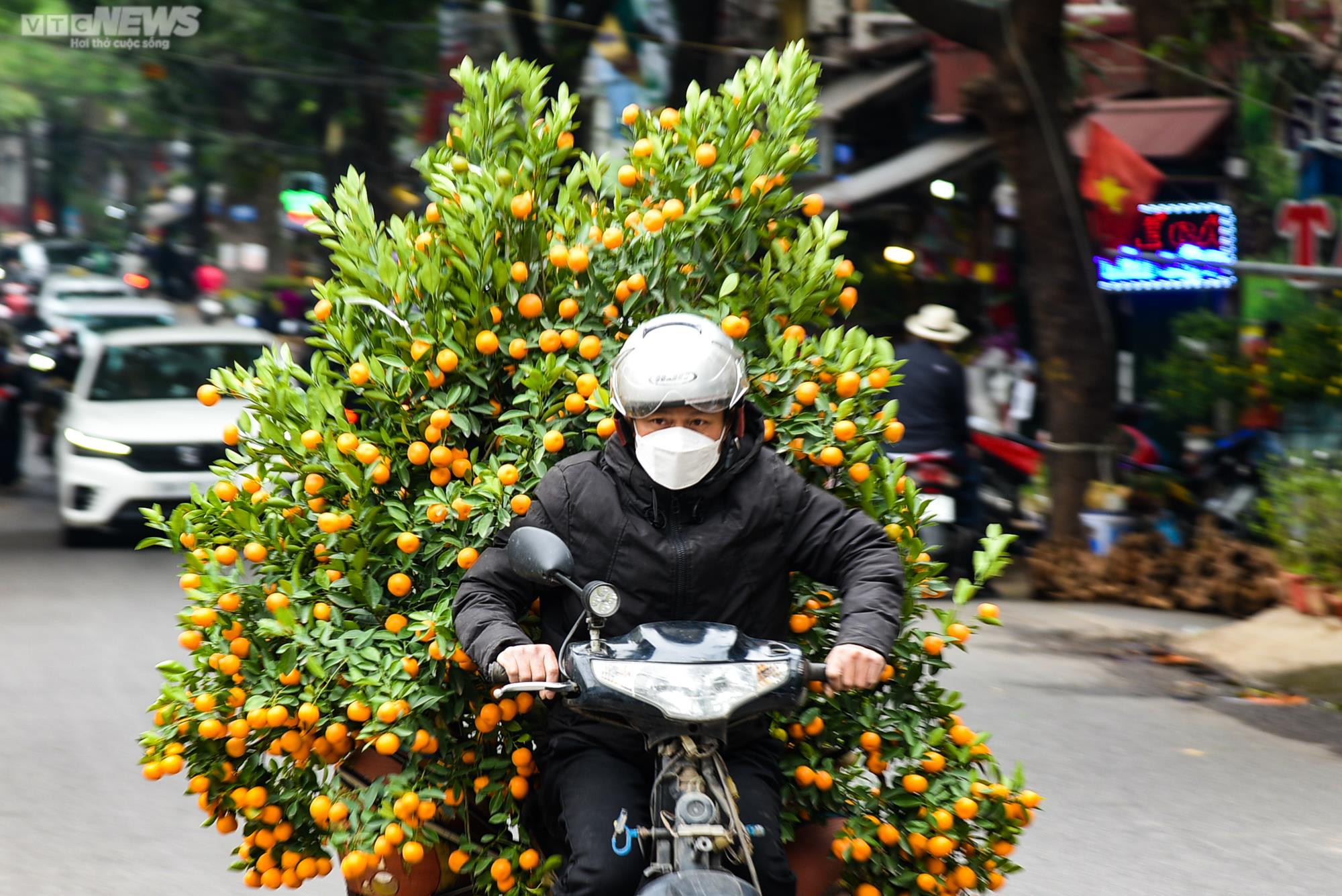 Chợ hoa Hà Nội tấp nập kẻ bán người mua ngày cận Tết - 10