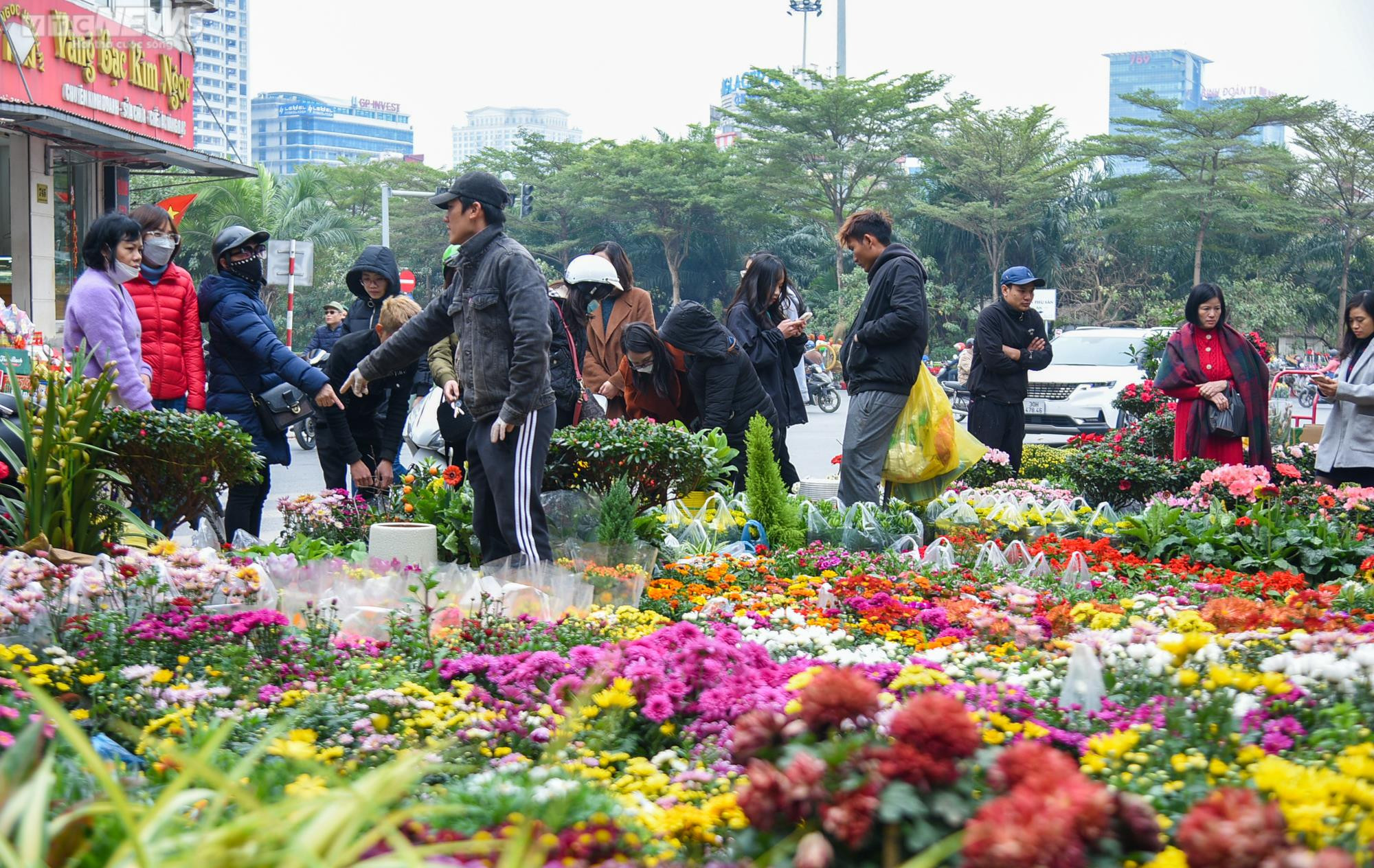 Chợ hoa Hà Nội tấp nập kẻ bán người mua ngày cận Tết - 1