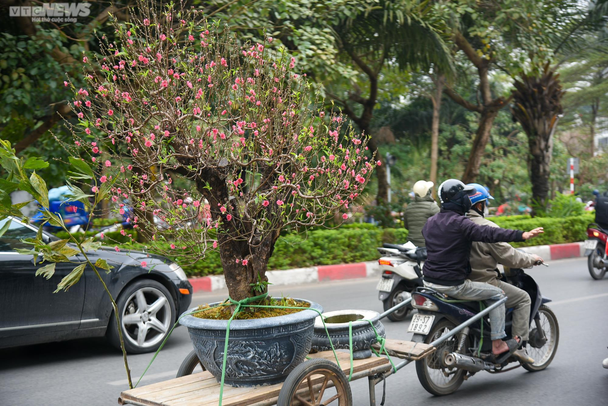 Chợ hoa Hà Nội tấp nập kẻ bán người mua ngày cận Tết - 13