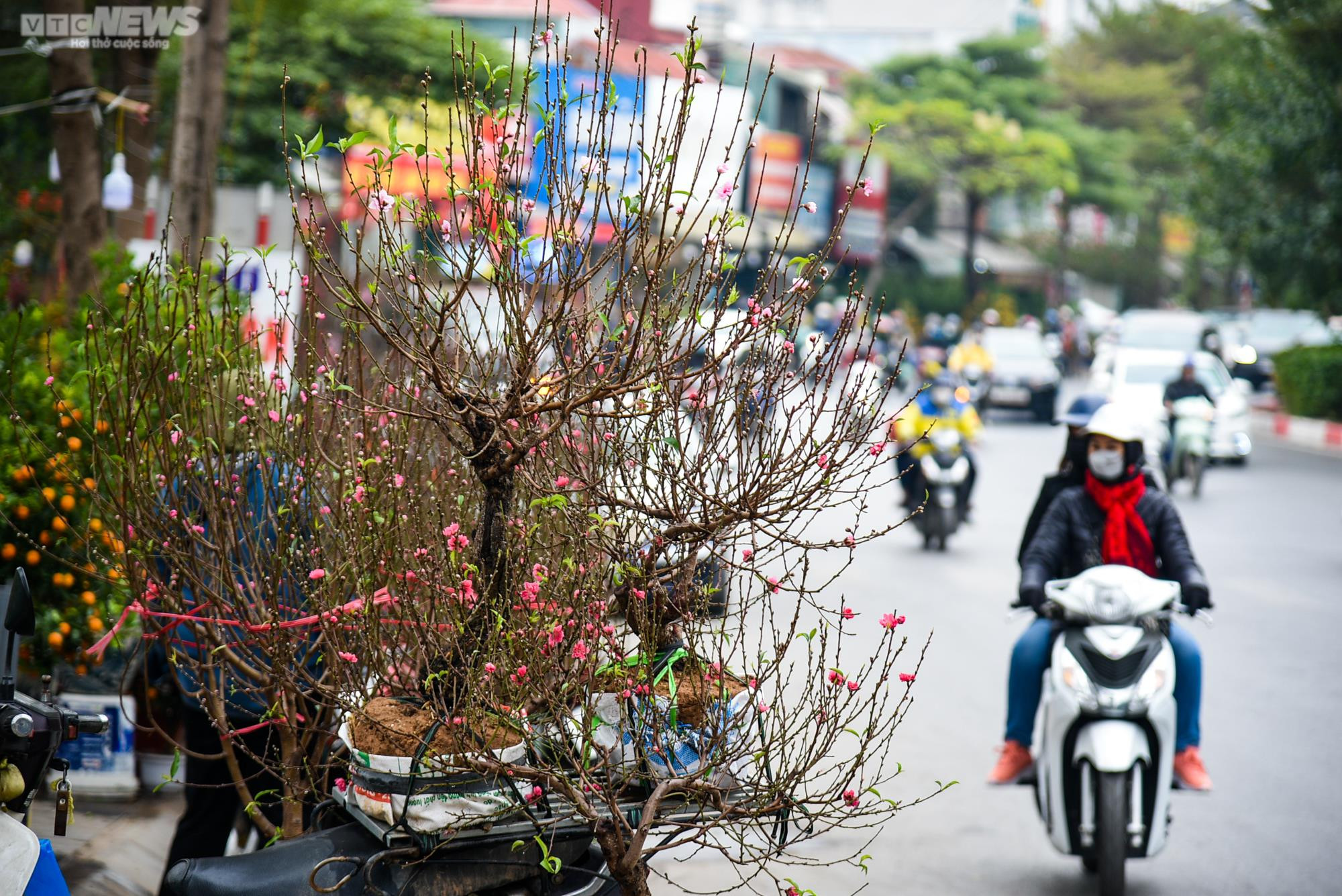 Chợ hoa Hà Nội tấp nập kẻ bán người mua ngày cận Tết - 12