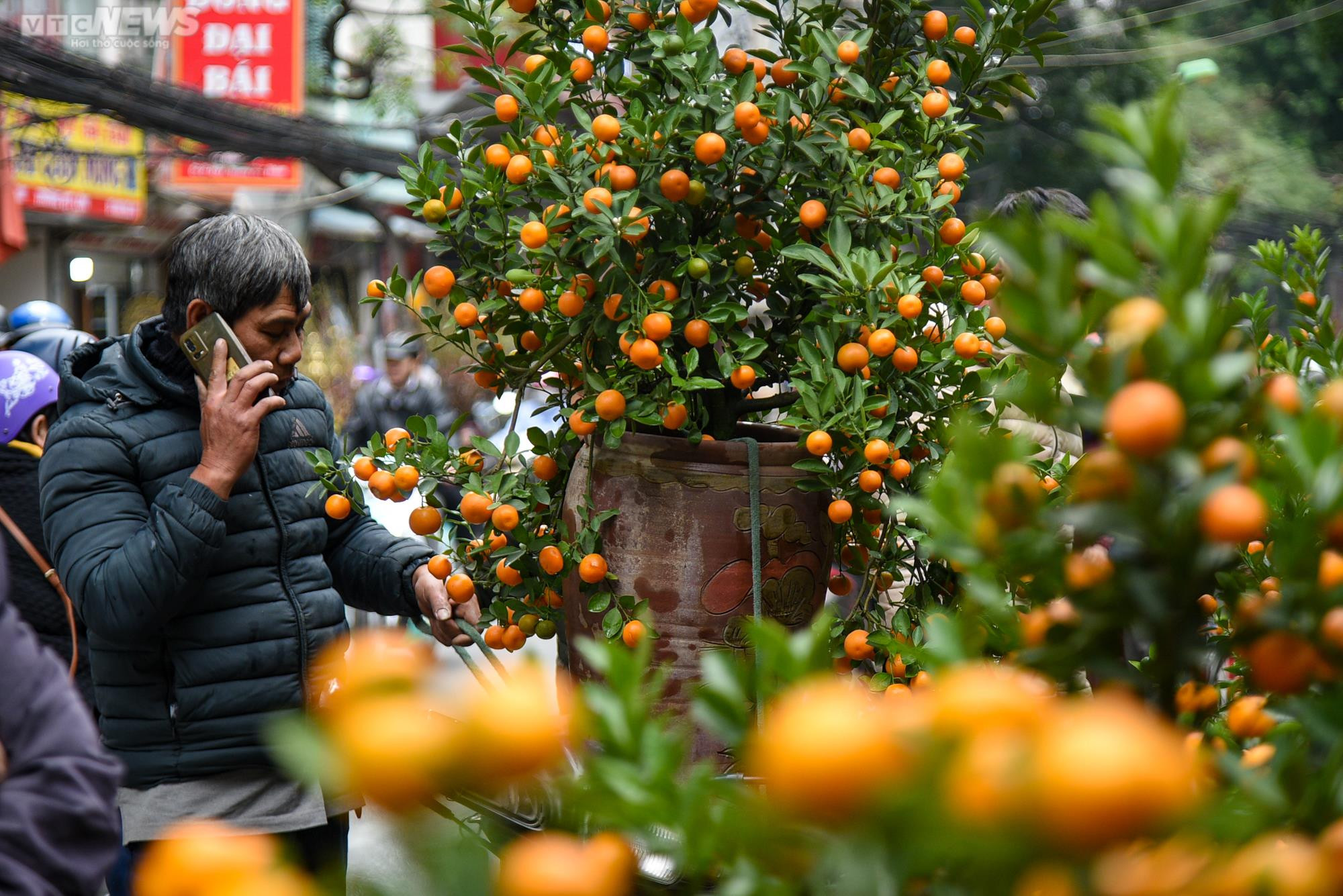 Chợ hoa Hà Nội tấp nập kẻ bán người mua ngày cận Tết - 7