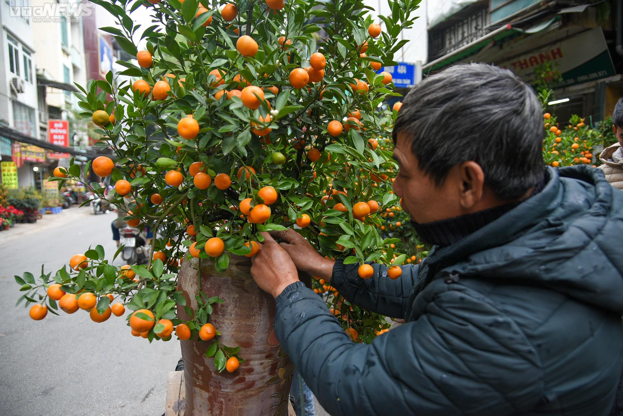 Chợ hoa Hà Nội tấp nập kẻ bán người mua ngày cận Tết - 8