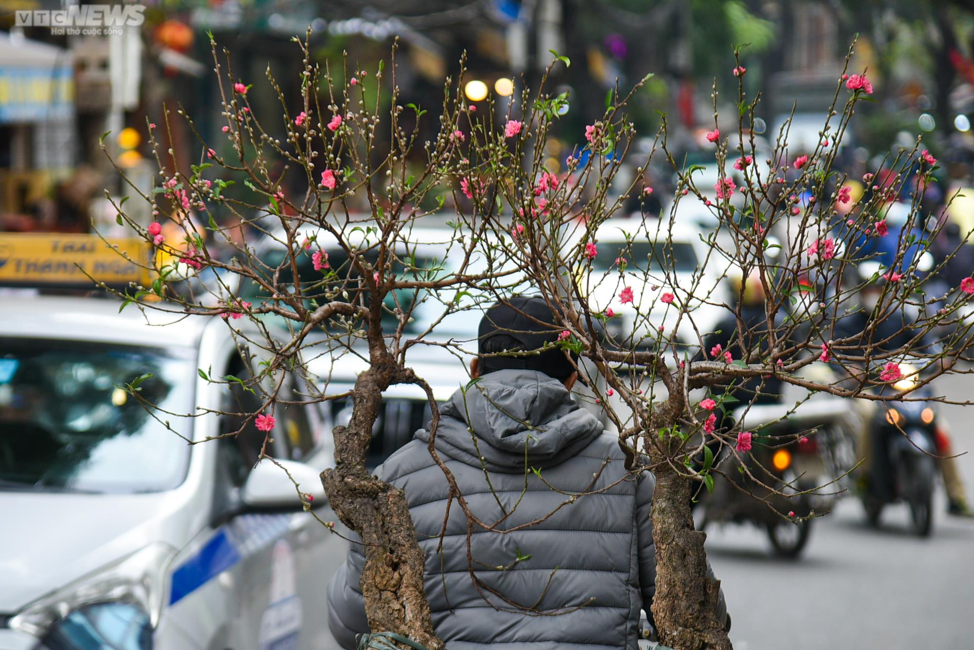 Chợ hoa Hà Nội tấp nập kẻ bán người mua ngày cận Tết - 11