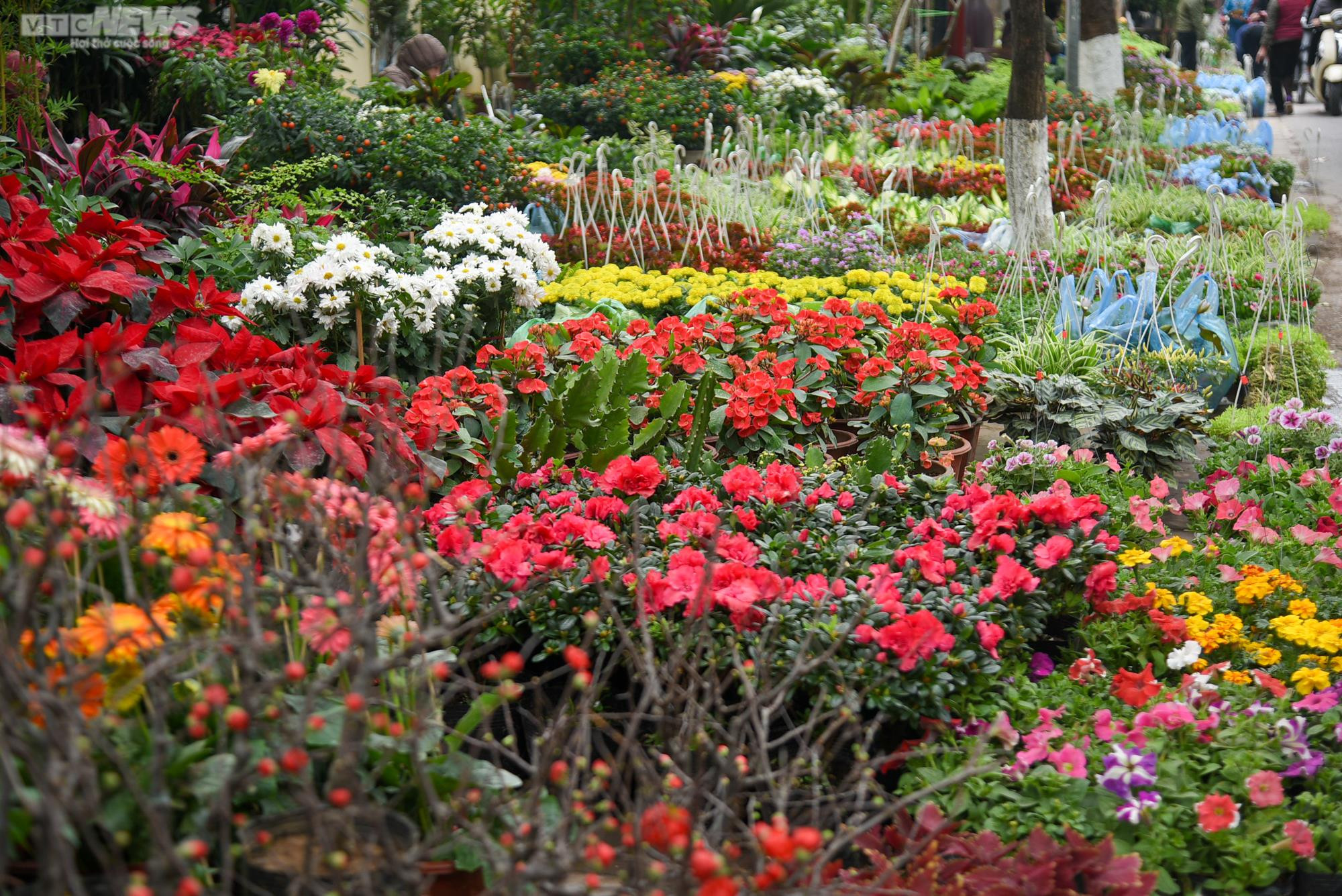 Chợ hoa Hà Nội tấp nập kẻ bán người mua ngày cận Tết - 5