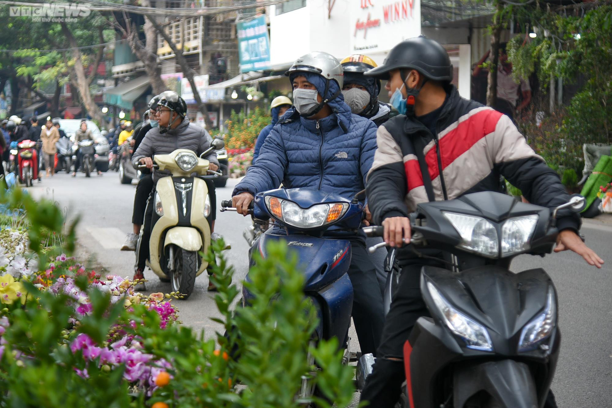 Chợ hoa Hà Nội tấp nập kẻ bán người mua ngày cận Tết - 4