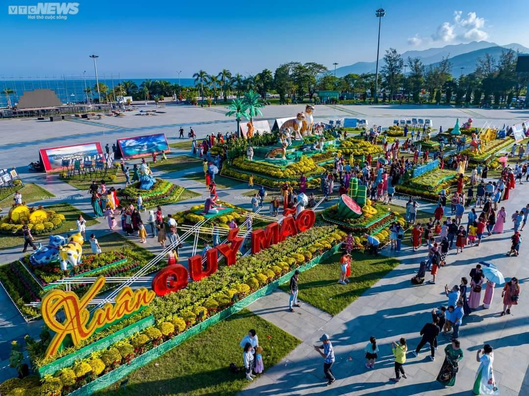 Bình Định: Mai đào khoe sắc thắm, thiếu nữ tỏa xuân thì - 1