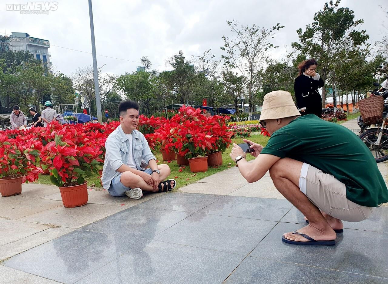 Bình Định: Mai đào khoe sắc thắm, thiếu nữ tỏa xuân thì - 9