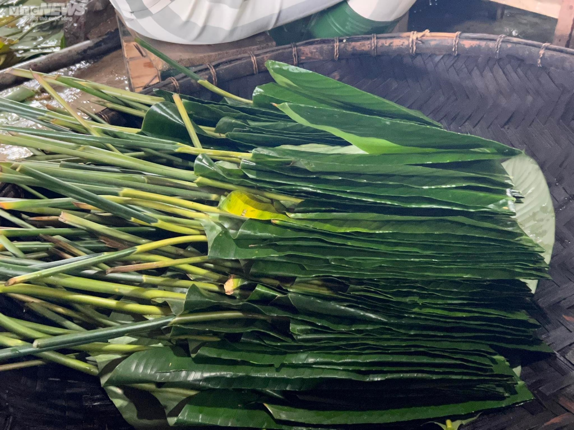 Mùa xuân sau cánh cửa trại giam Yên Hạ - 2