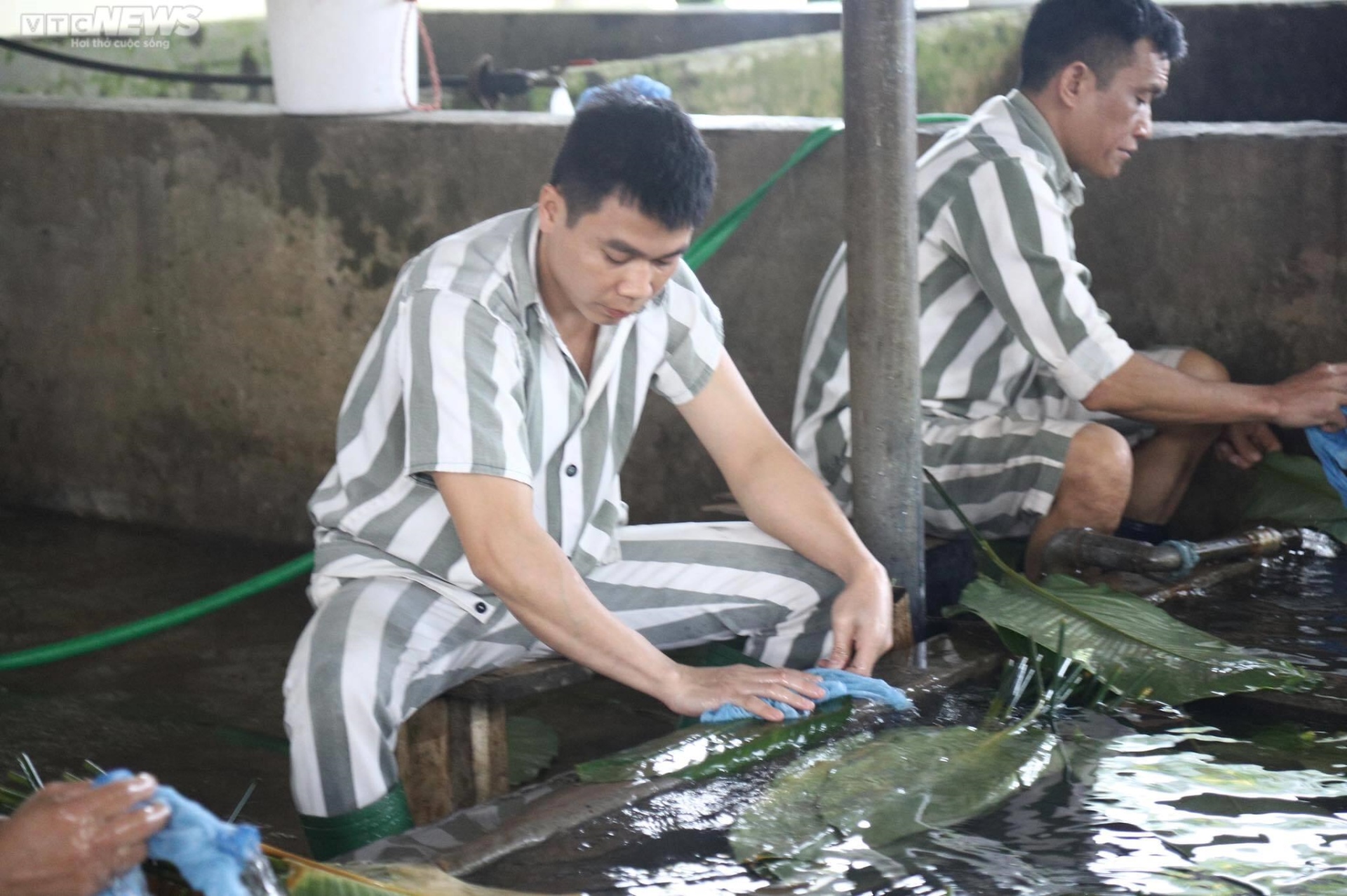 Mùa xuân sau cánh cửa trại giam Yên Hạ - 4