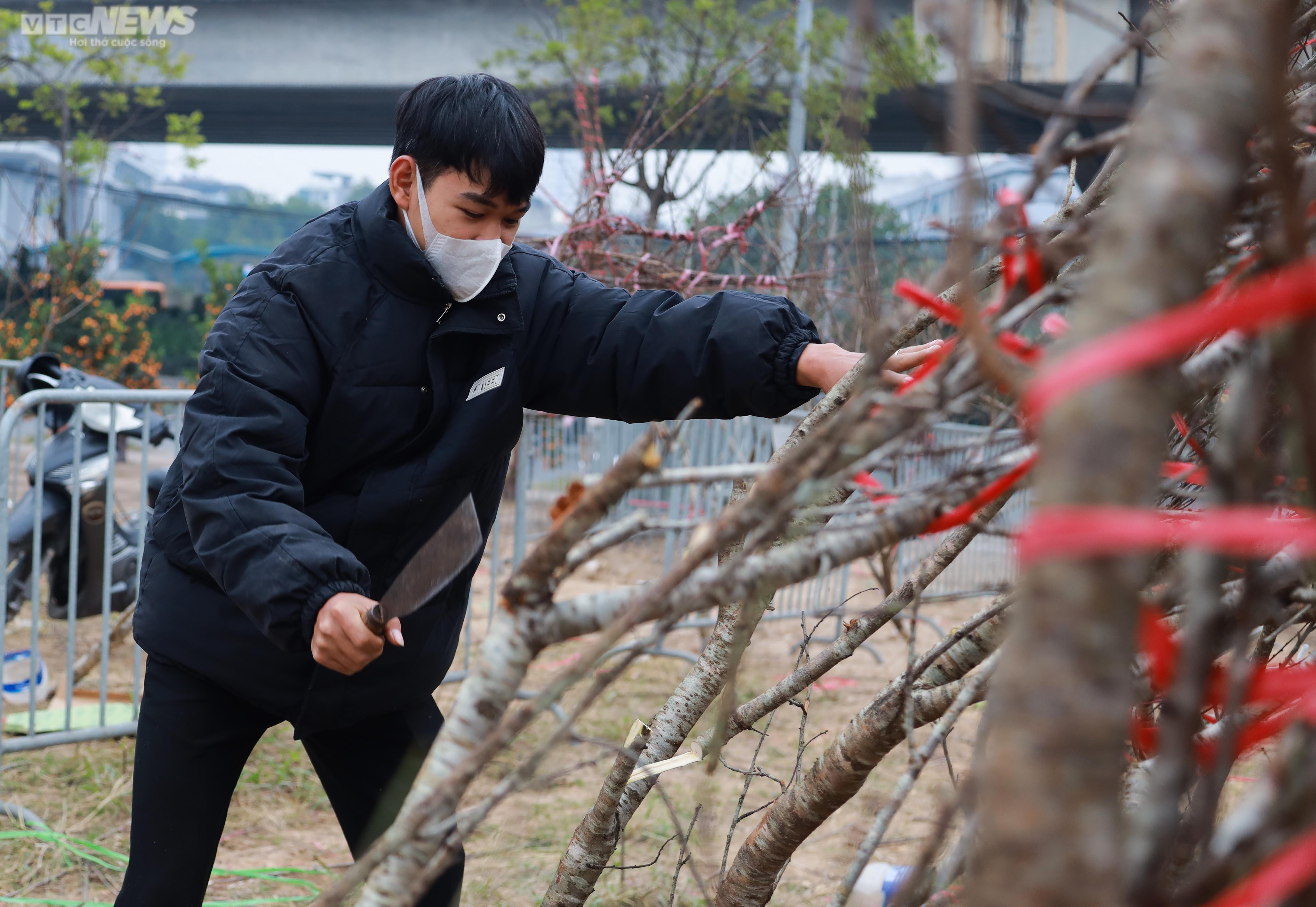Giảm giá kịch sàn không có người mua, tiểu thương ngậm ngùi chặt, đốt cành đào - 4