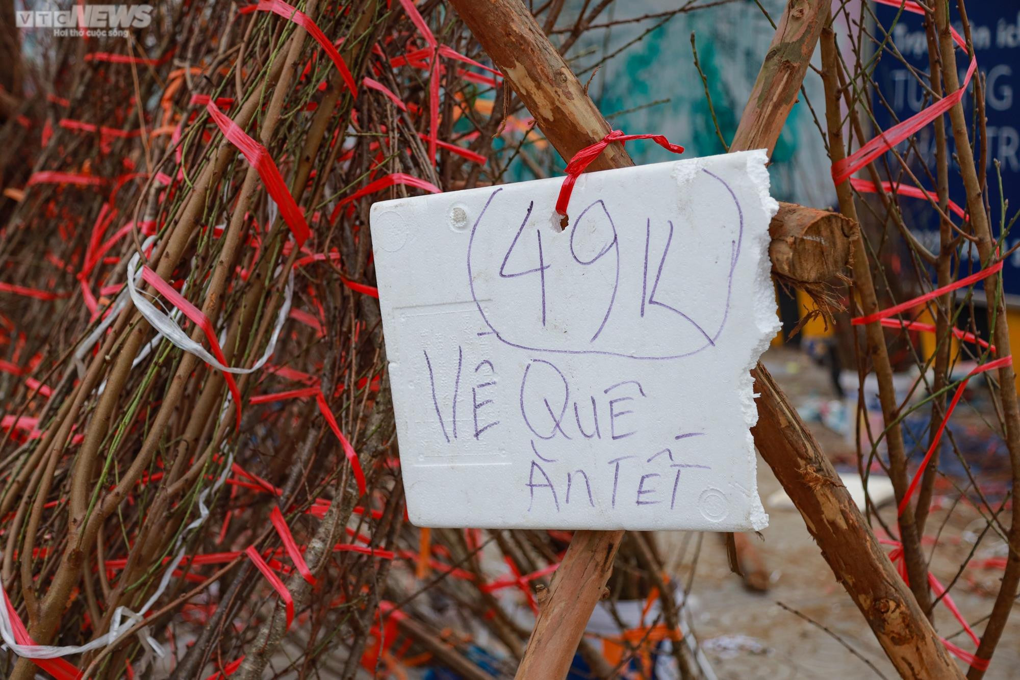 Giảm giá kịch sàn không có người mua, tiểu thương ngậm ngùi chặt, đốt cành đào - 3