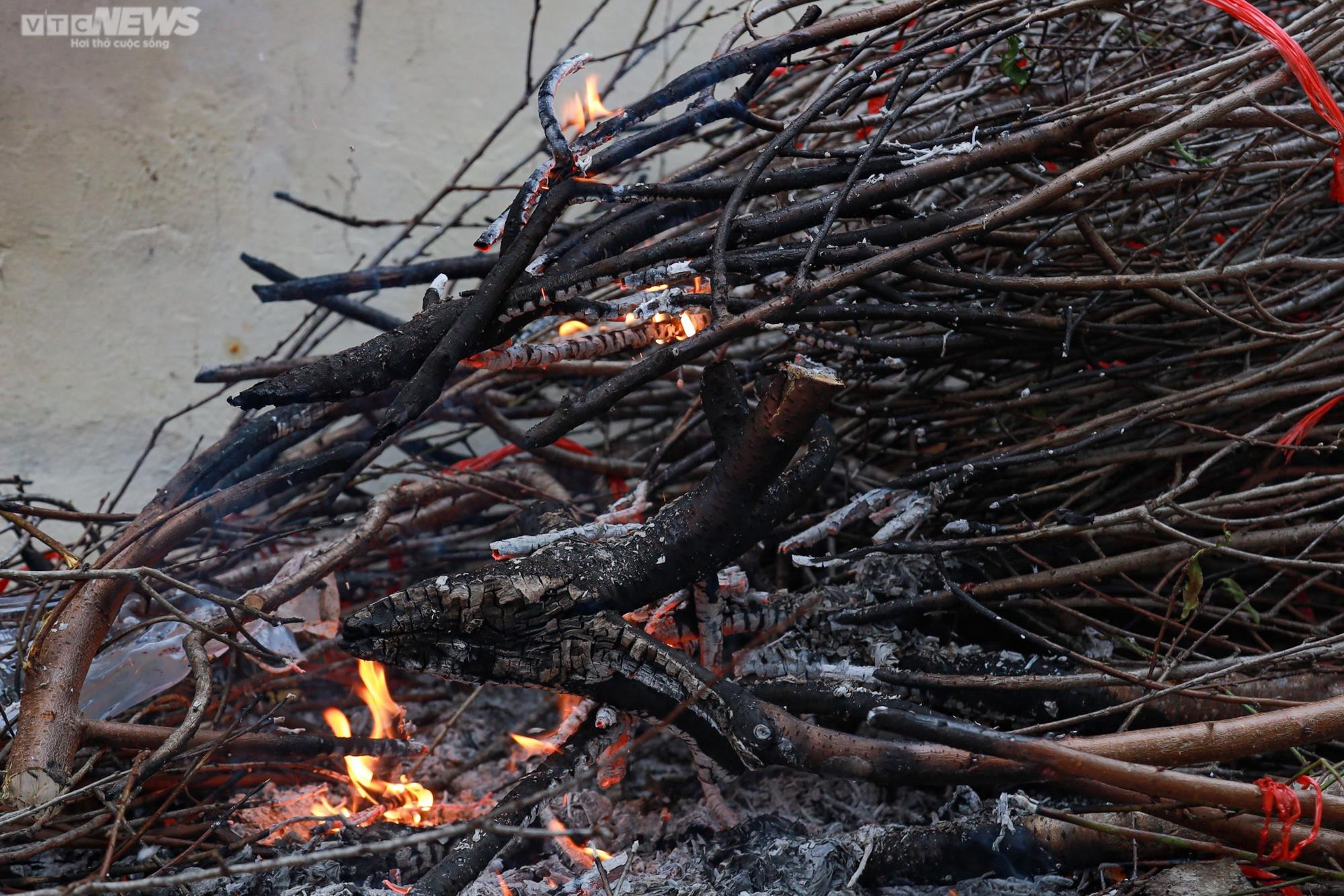 Giảm giá kịch sàn không có người mua, tiểu thương ngậm ngùi chặt, đốt cành đào - 11