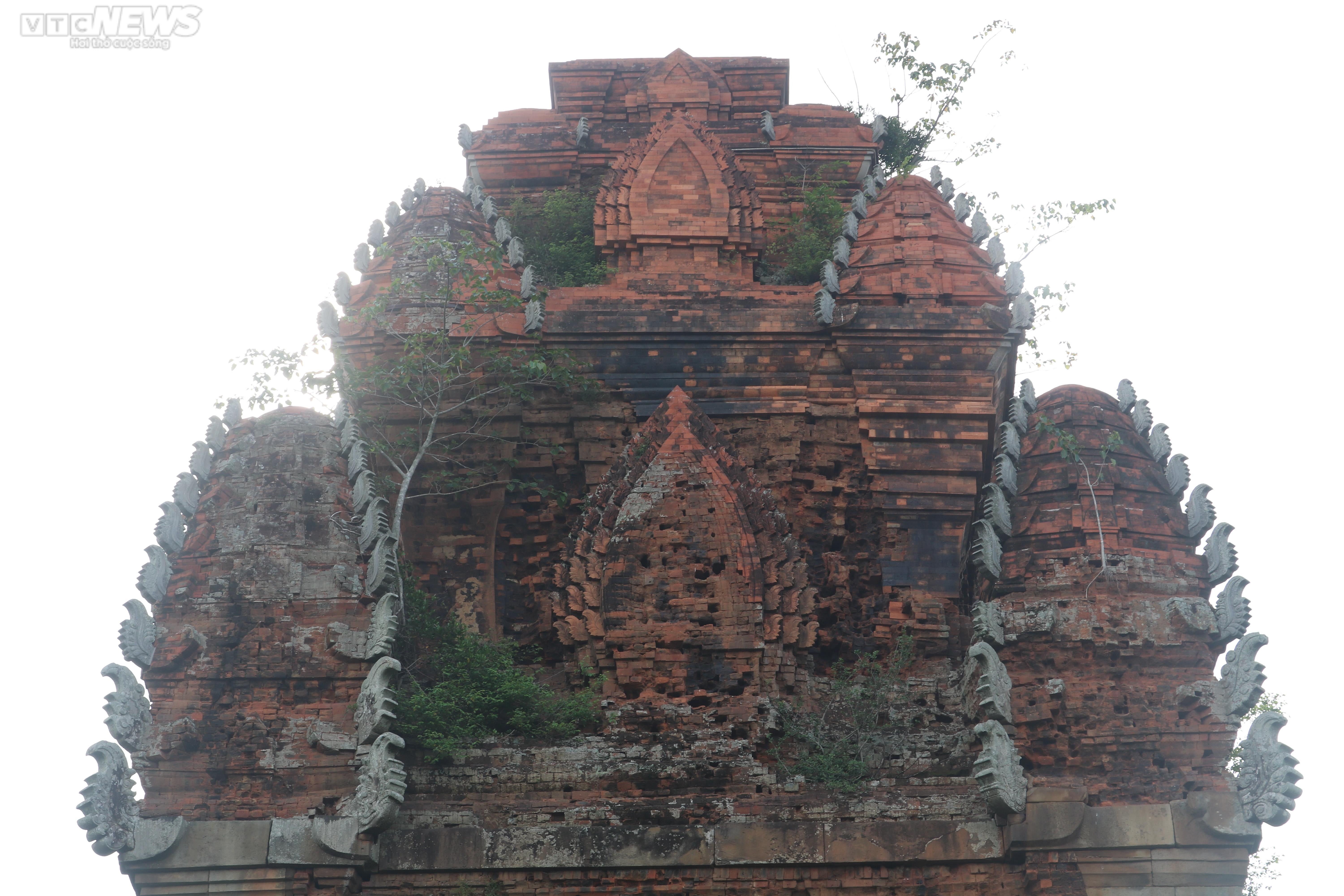 Khám phá bí ẩn của 4 tháp Chăm nghìn năm tuổi ở Bình Định - 5