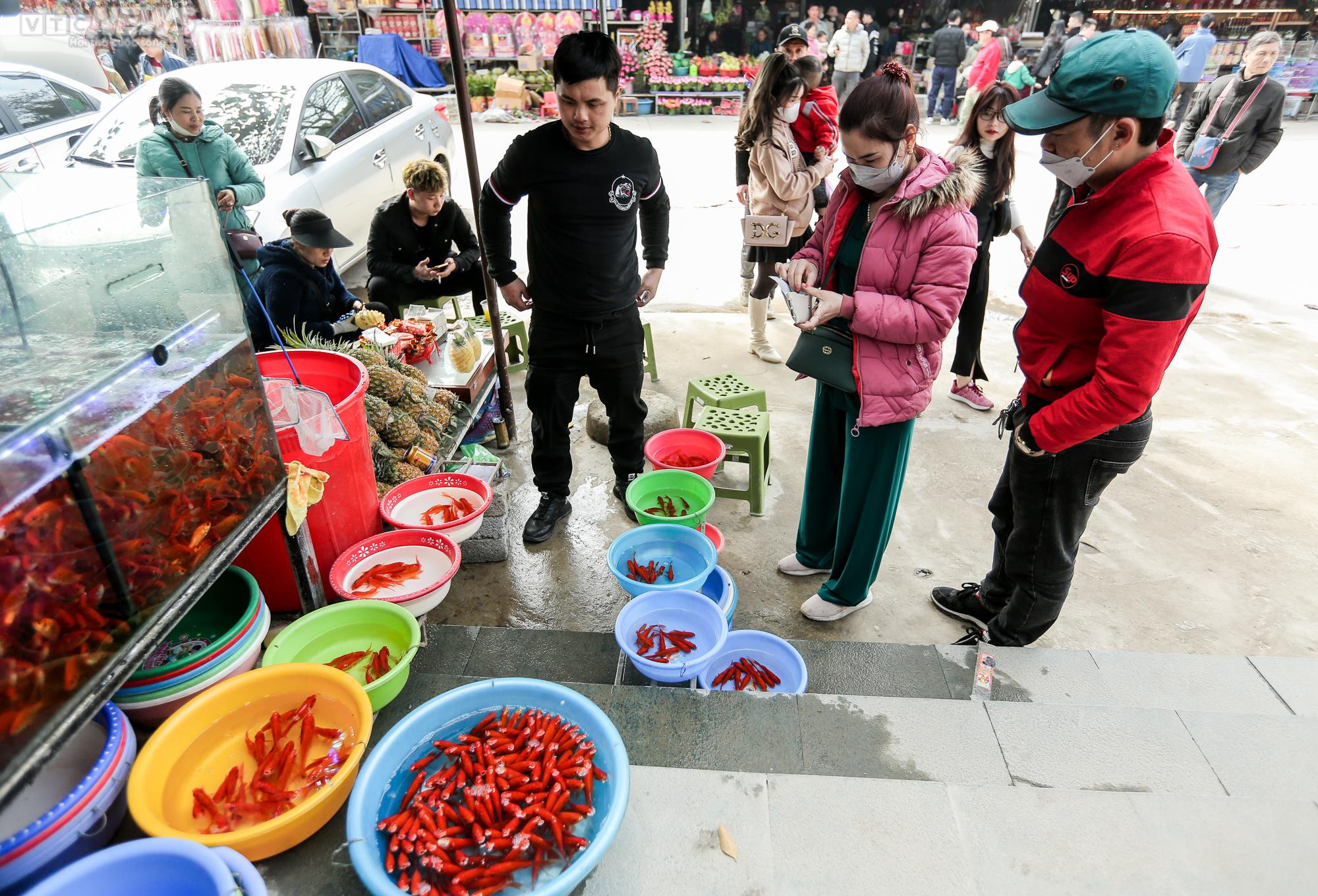 Du khách đến ngôi đền thiêng ở Thanh Hoá phóng sinh chim cá, xin lộc đầu năm - 18