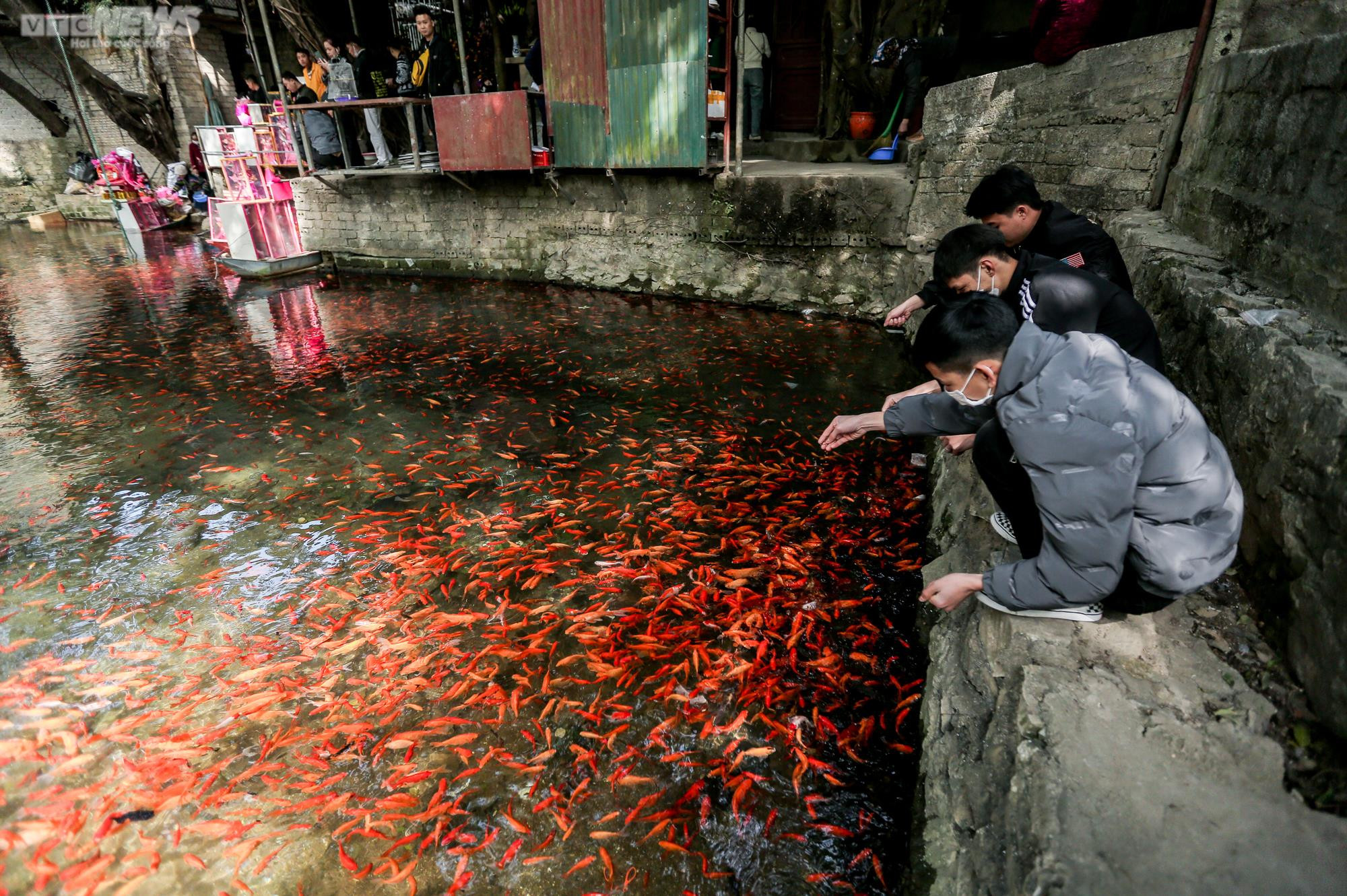 Du khách đến ngôi đền thiêng ở Thanh Hoá phóng sinh chim cá, xin lộc đầu năm - 21