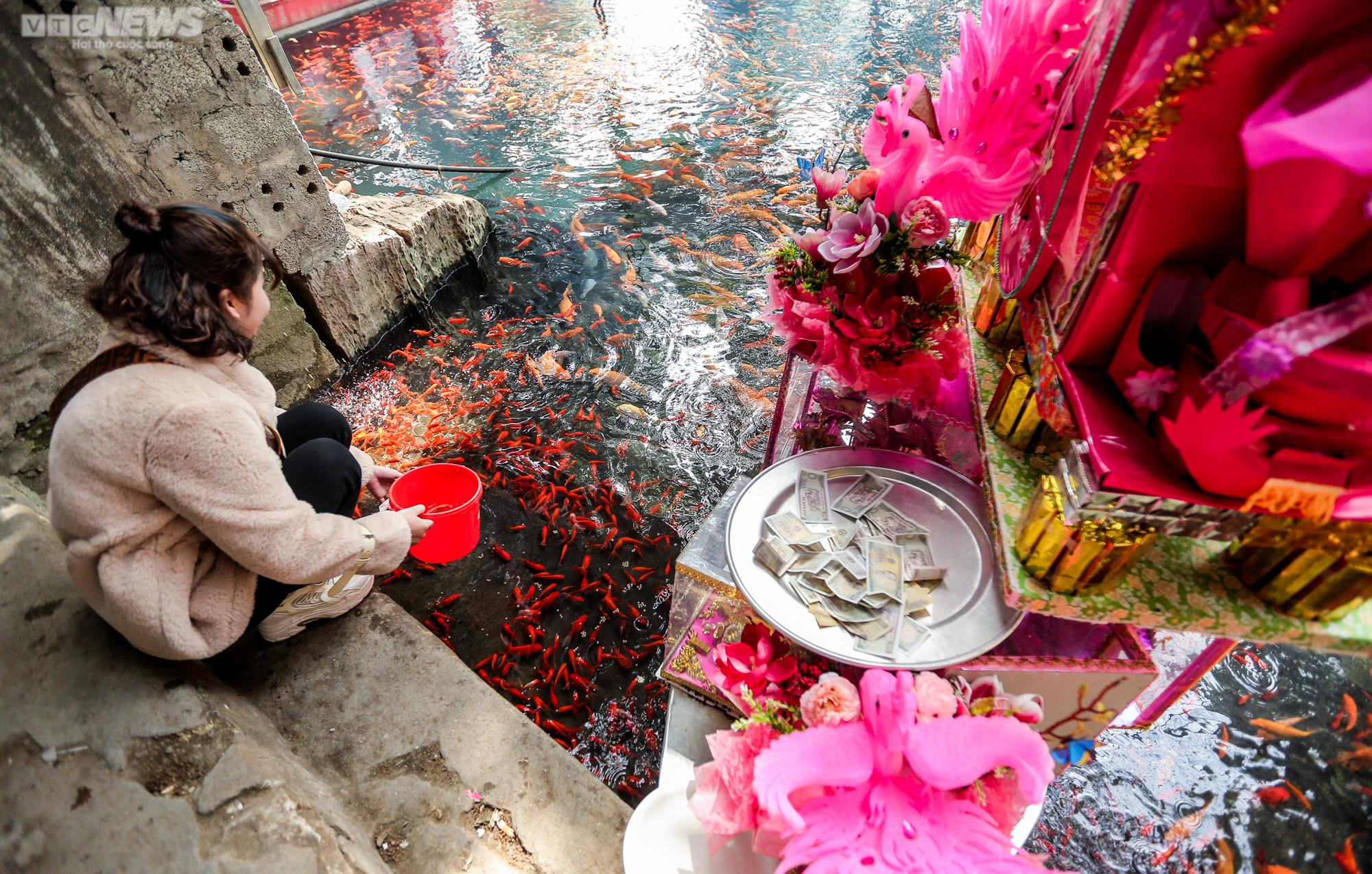 Du khách đến ngôi đền thiêng ở Thanh Hoá phóng sinh chim cá, xin lộc đầu năm - 19