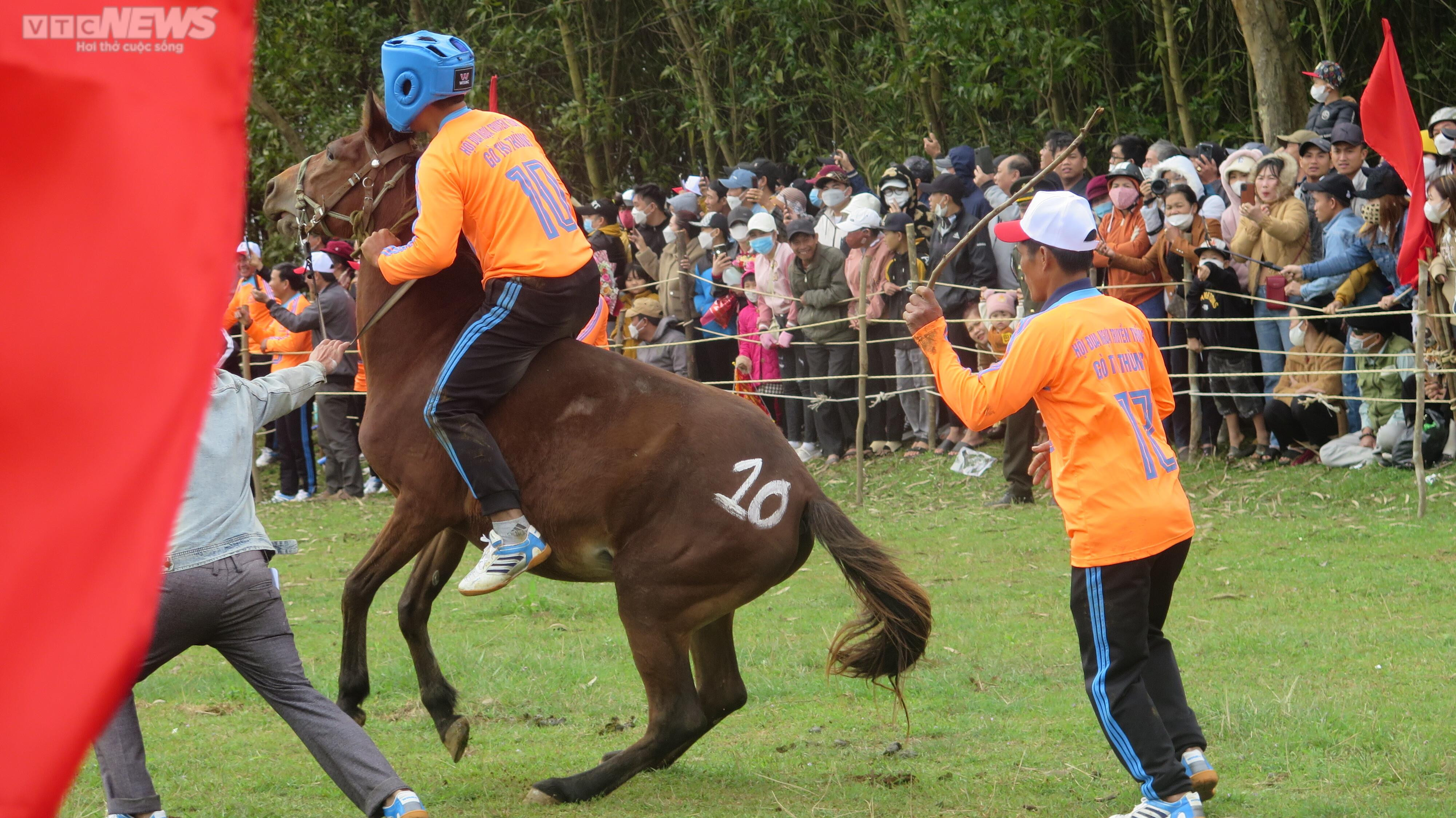 Hội đua ngựa Gò Thì Thùng: Phì cười khi ngựa cái đi đua - 5