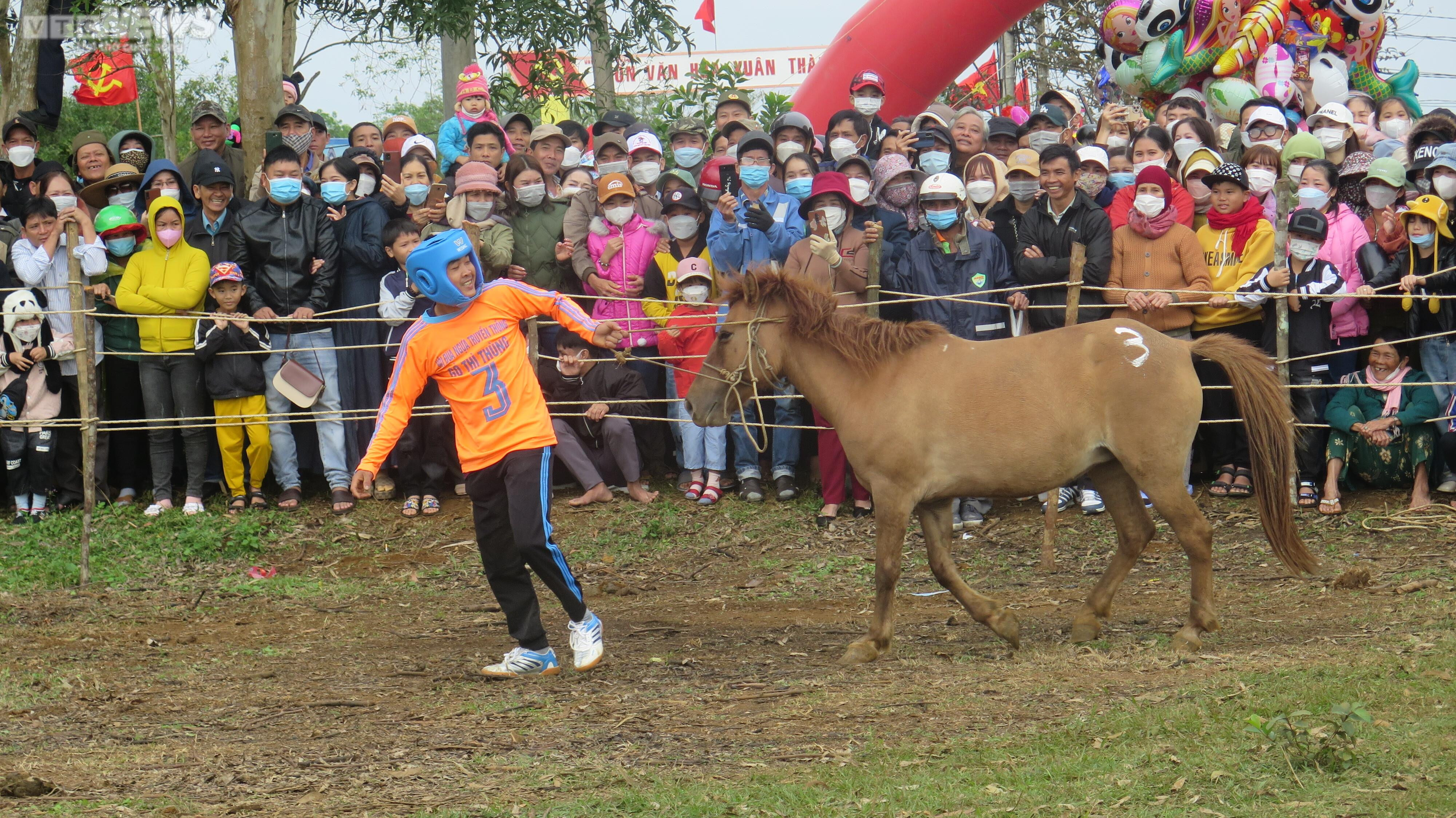 Hội đua ngựa Gò Thì Thùng: Phì cười khi ngựa cái đi đua - 6