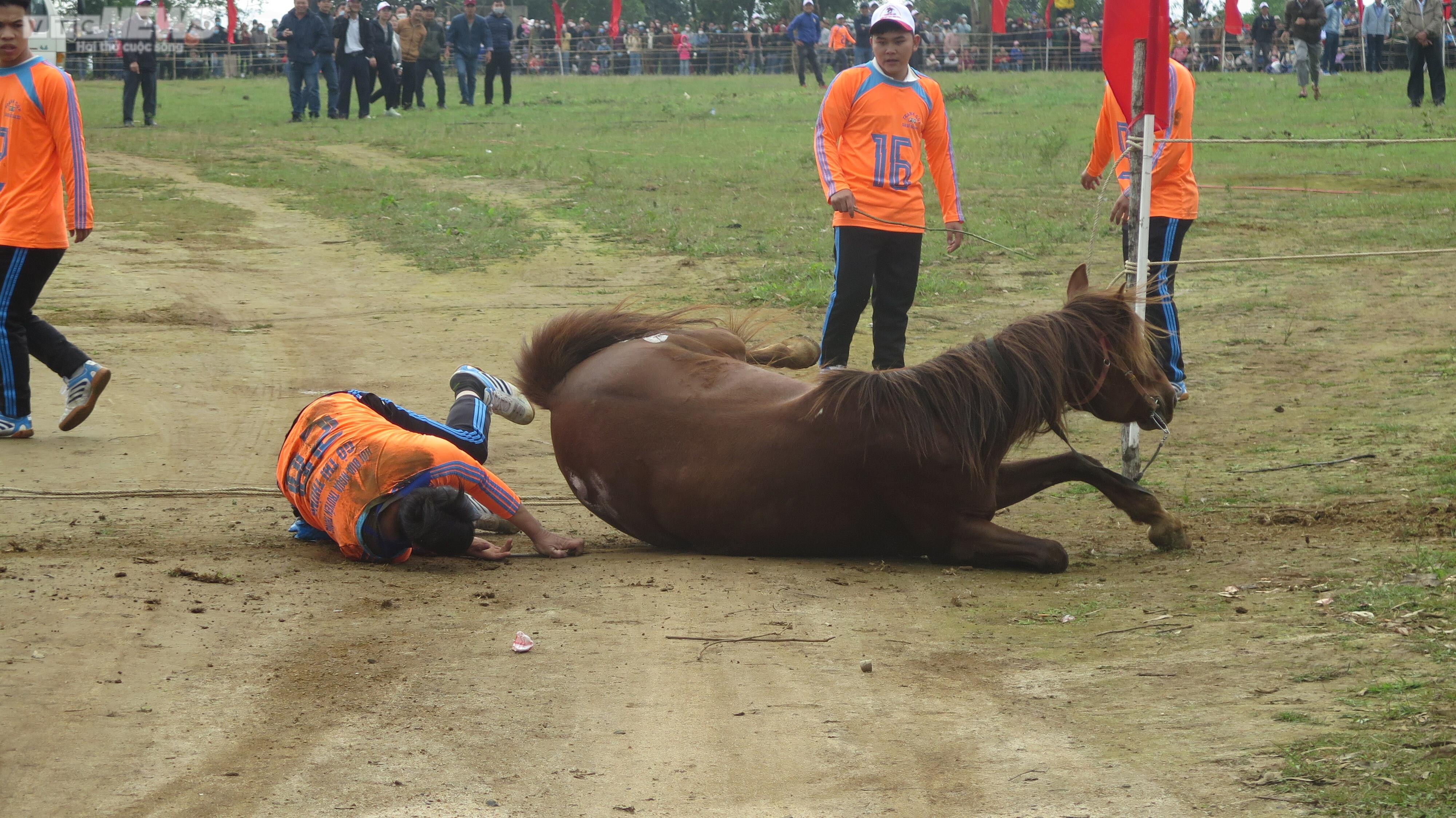 Hội đua ngựa Gò Thì Thùng: Phì cười khi ngựa cái đi đua - 7