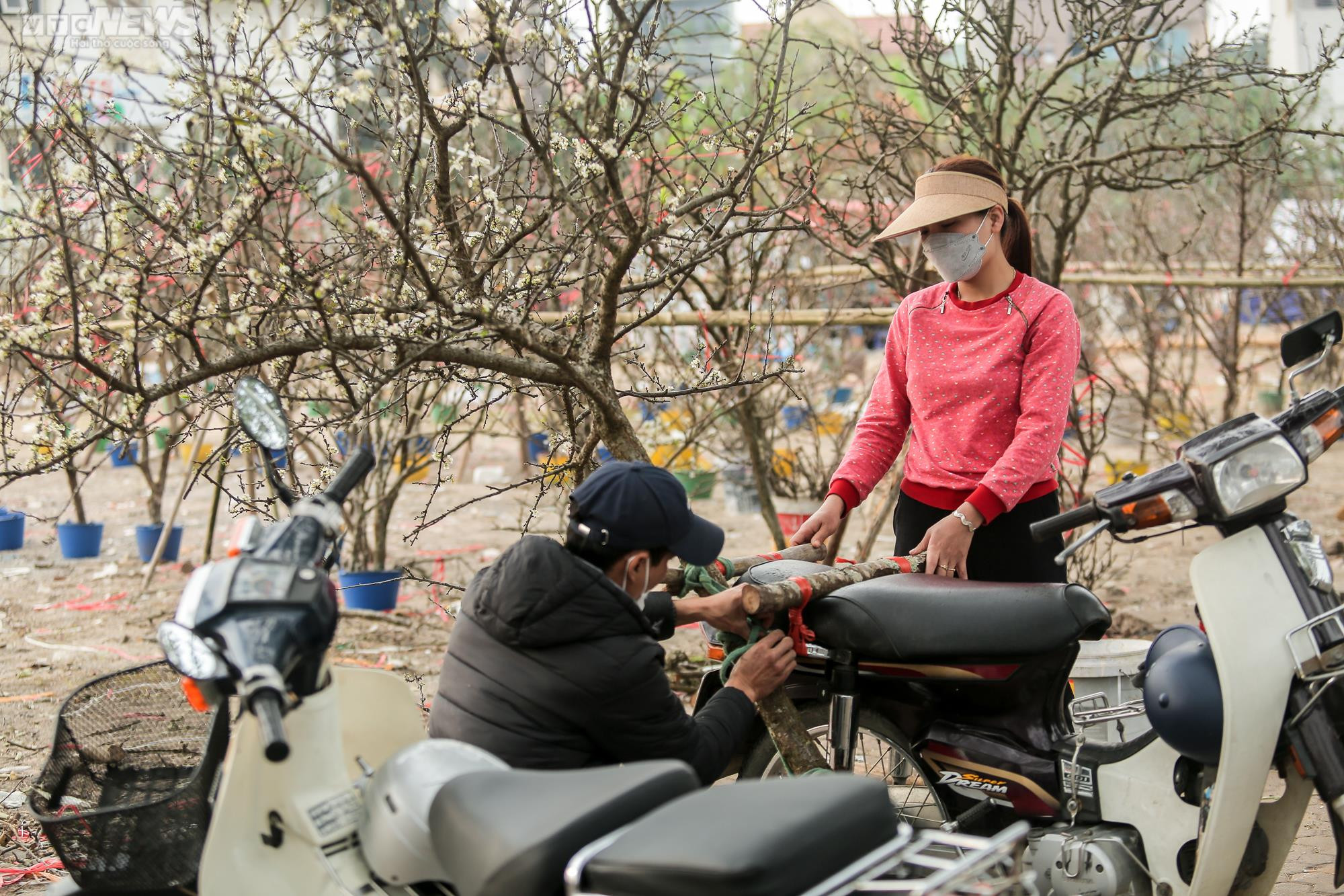 Người Hà Nội chi tiền triệu săn hoa lê rừng chơi sau Tết - 15