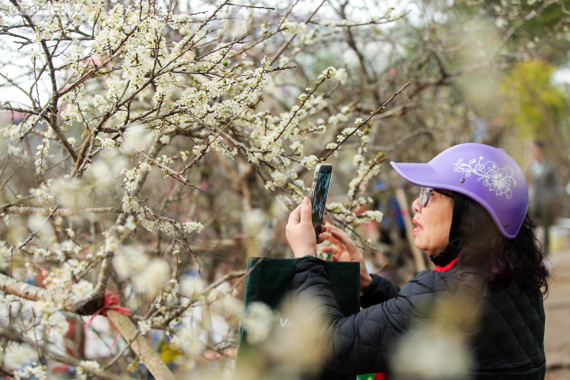 Người Hà Nội chi tiền triệu săn hoa lê rừng chơi sau Tết - 14