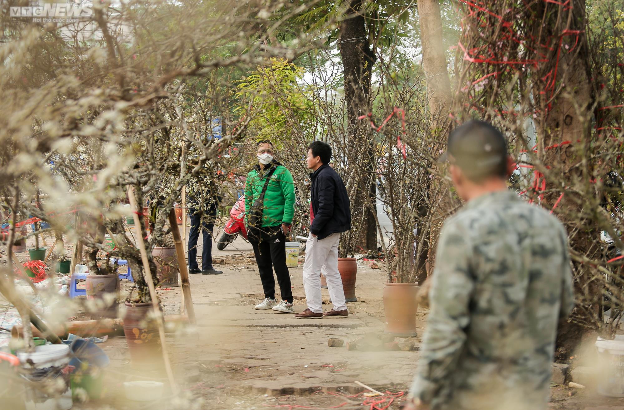 Người Hà Nội chi tiền triệu săn hoa lê rừng chơi sau Tết - 6