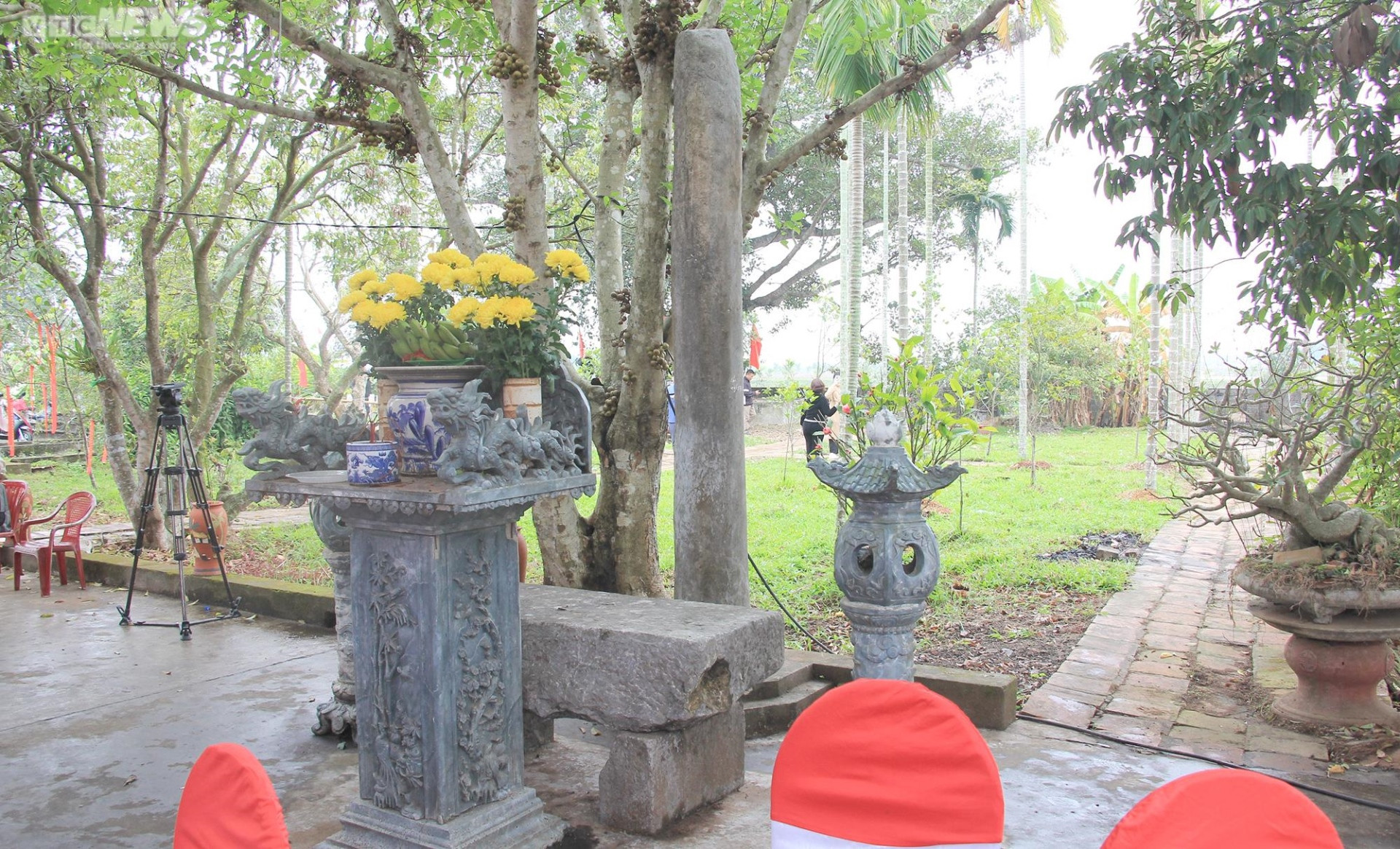 Về Hải Phòng xem các bô lão thề không tham nhũng - 13