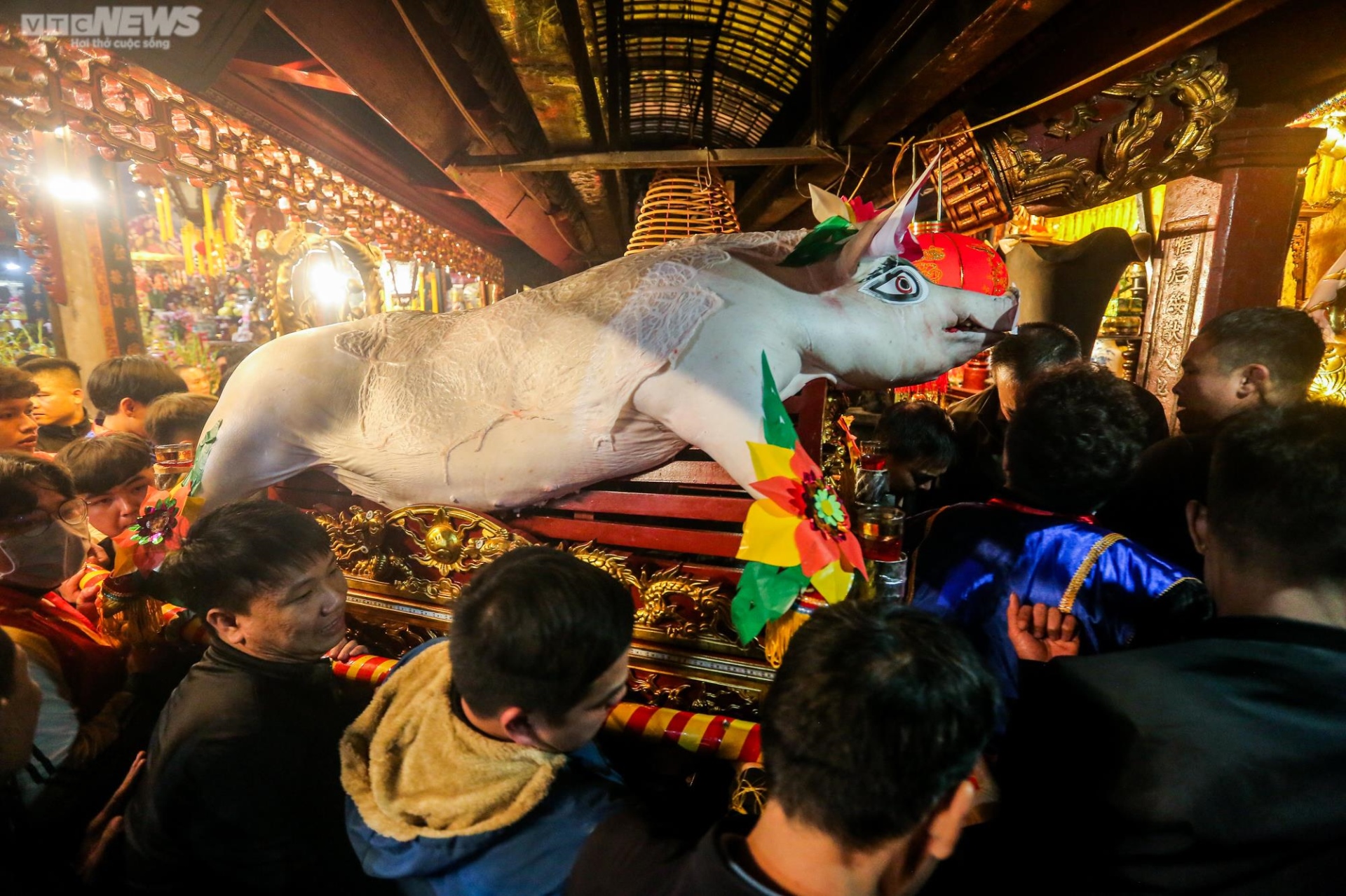 Hàng nghìn người xuyên đêm xem 17 ‘ông lợn’ được rước bằng kiệu hoa - 16