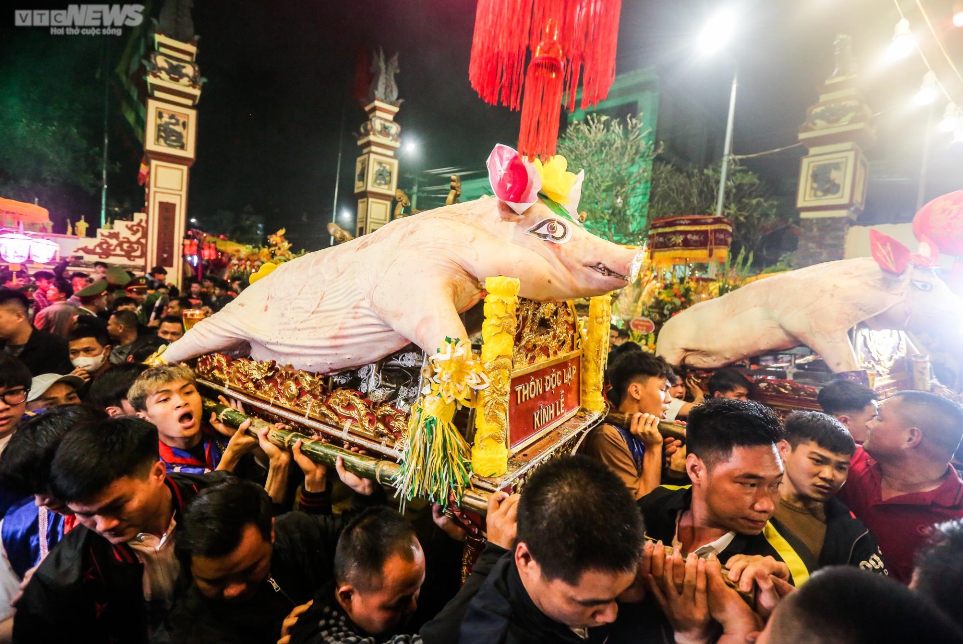 Hàng nghìn người xuyên đêm xem 17 ‘ông lợn’ được rước bằng kiệu hoa - 14