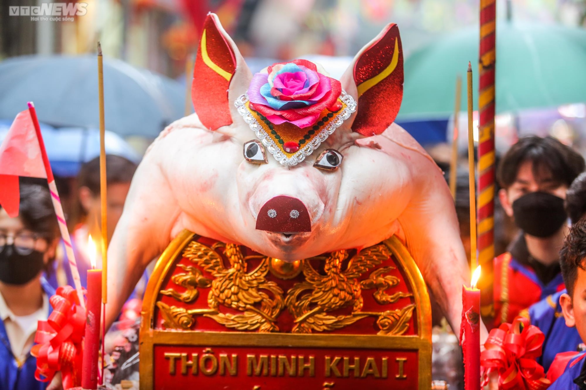 Hàng nghìn người xuyên đêm xem 17 ‘ông lợn’ được rước bằng kiệu hoa - 3