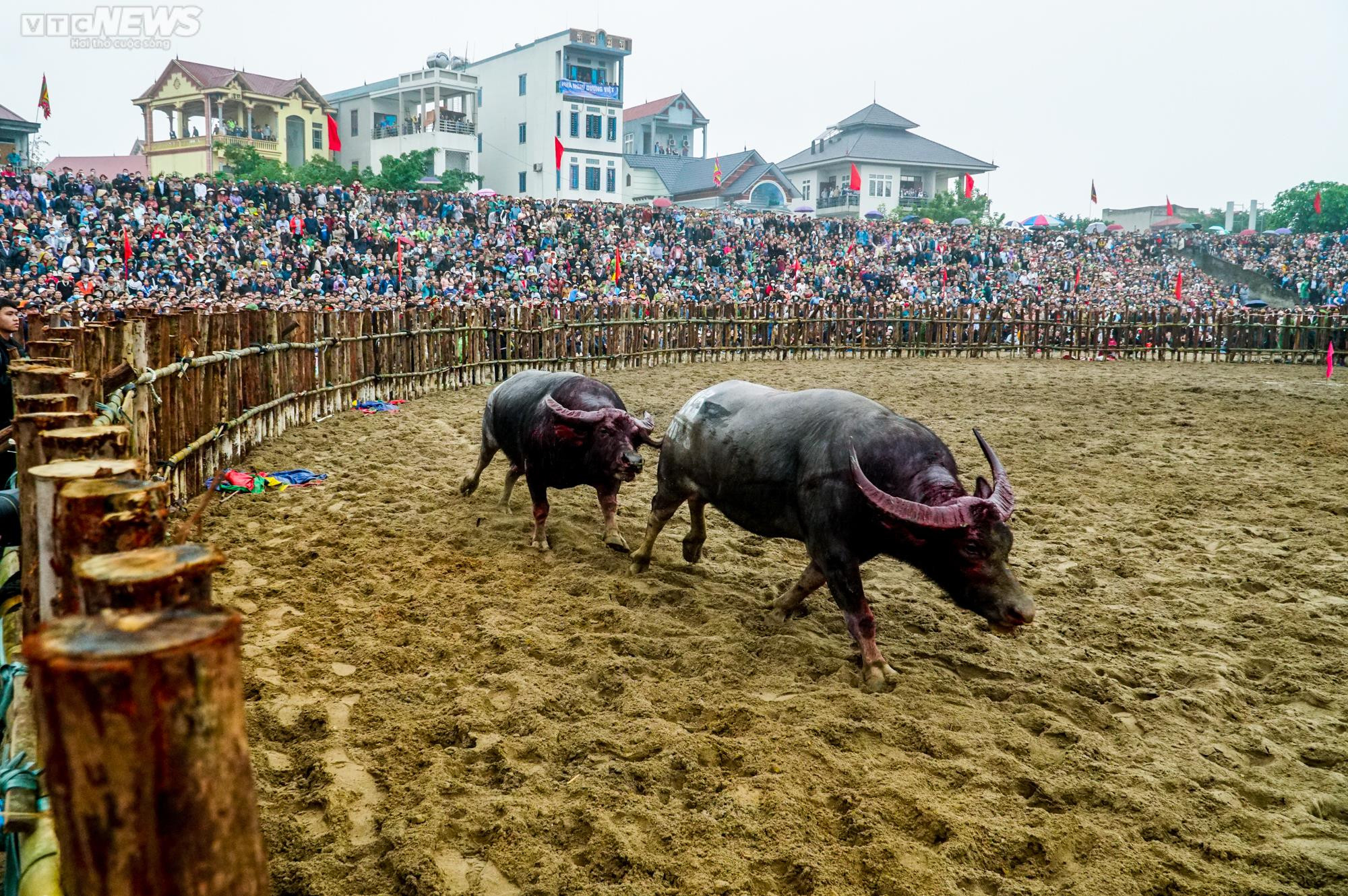 Vĩnh Phúc: Thót tim những pha cáng hầu, móc hàm của các ‘ông trâu’ Hải Lựu - 10