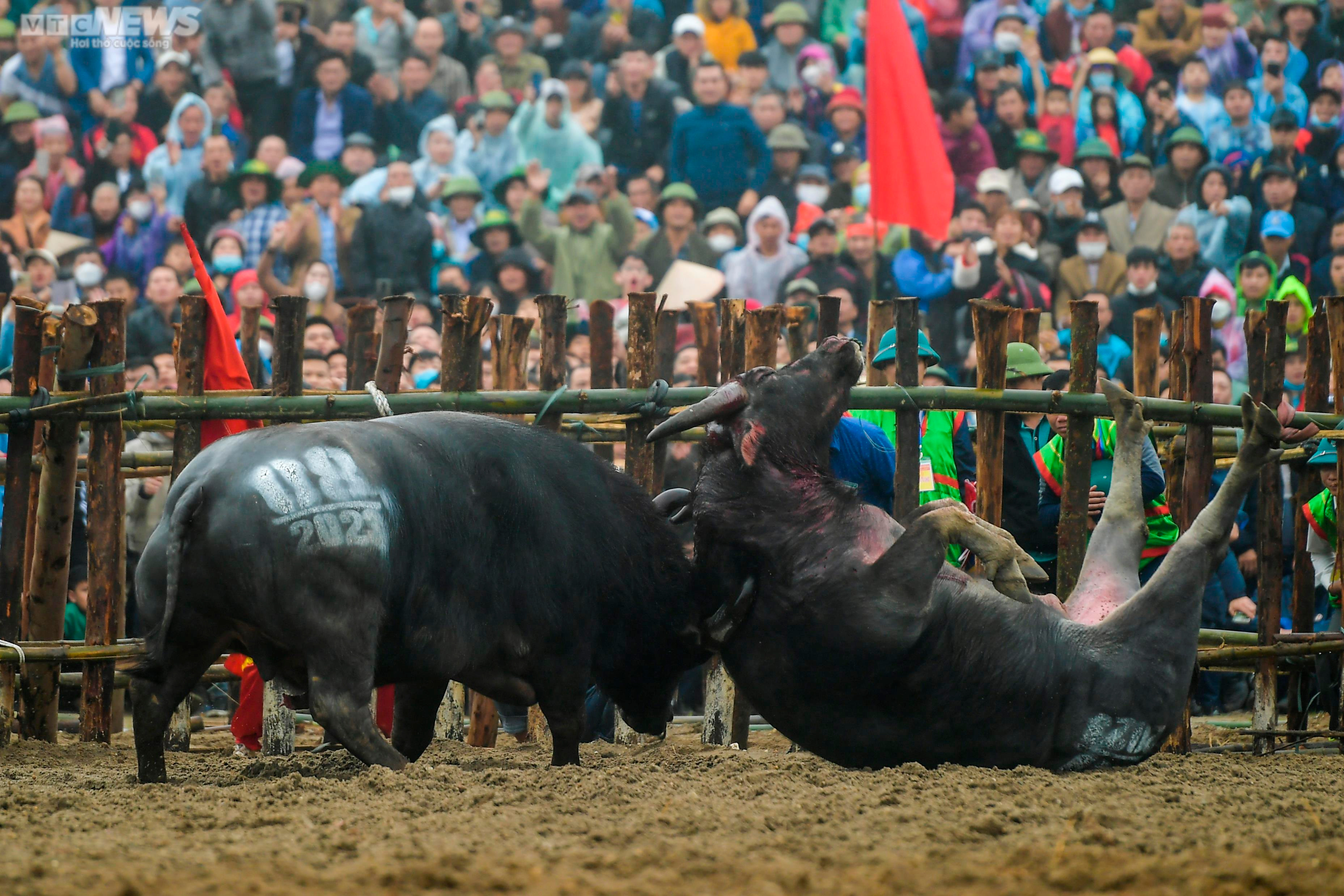 Vĩnh Phúc: Thót tim những pha cáng hầu, móc hàm của các ‘ông trâu’ Hải Lựu - 9