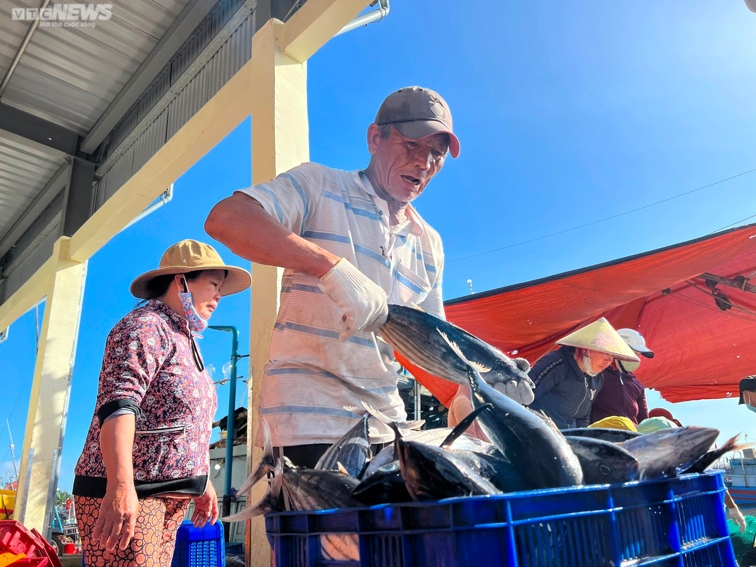 Đánh bắt xuyên Tết, ngư dân Quảng Ngãi hối hả chở 'lộc biển' từ khơi xa về bờ - 4