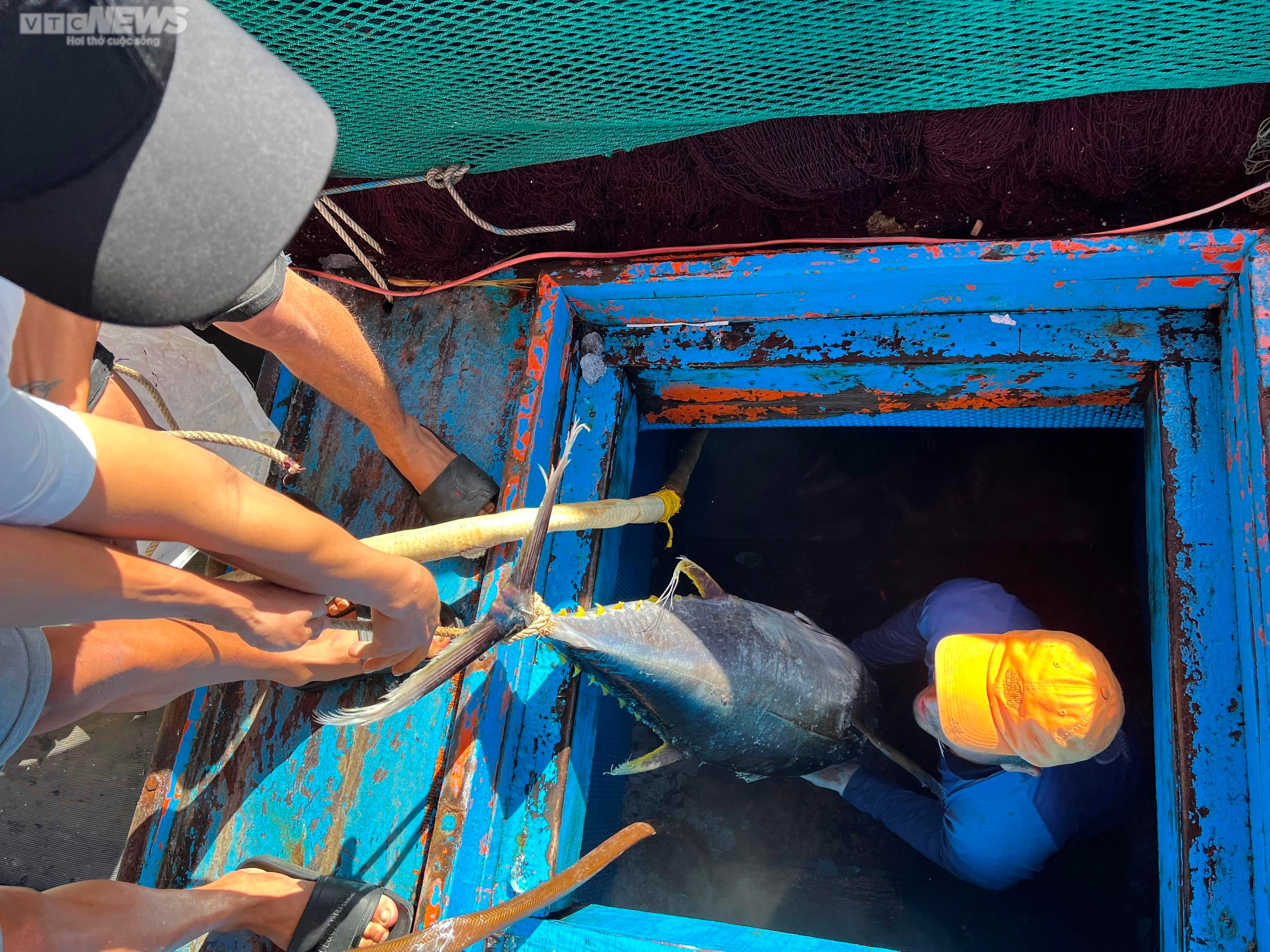 Đánh bắt xuyên Tết, ngư dân Quảng Ngãi hối hả chở 'lộc biển' từ khơi xa về bờ - 5