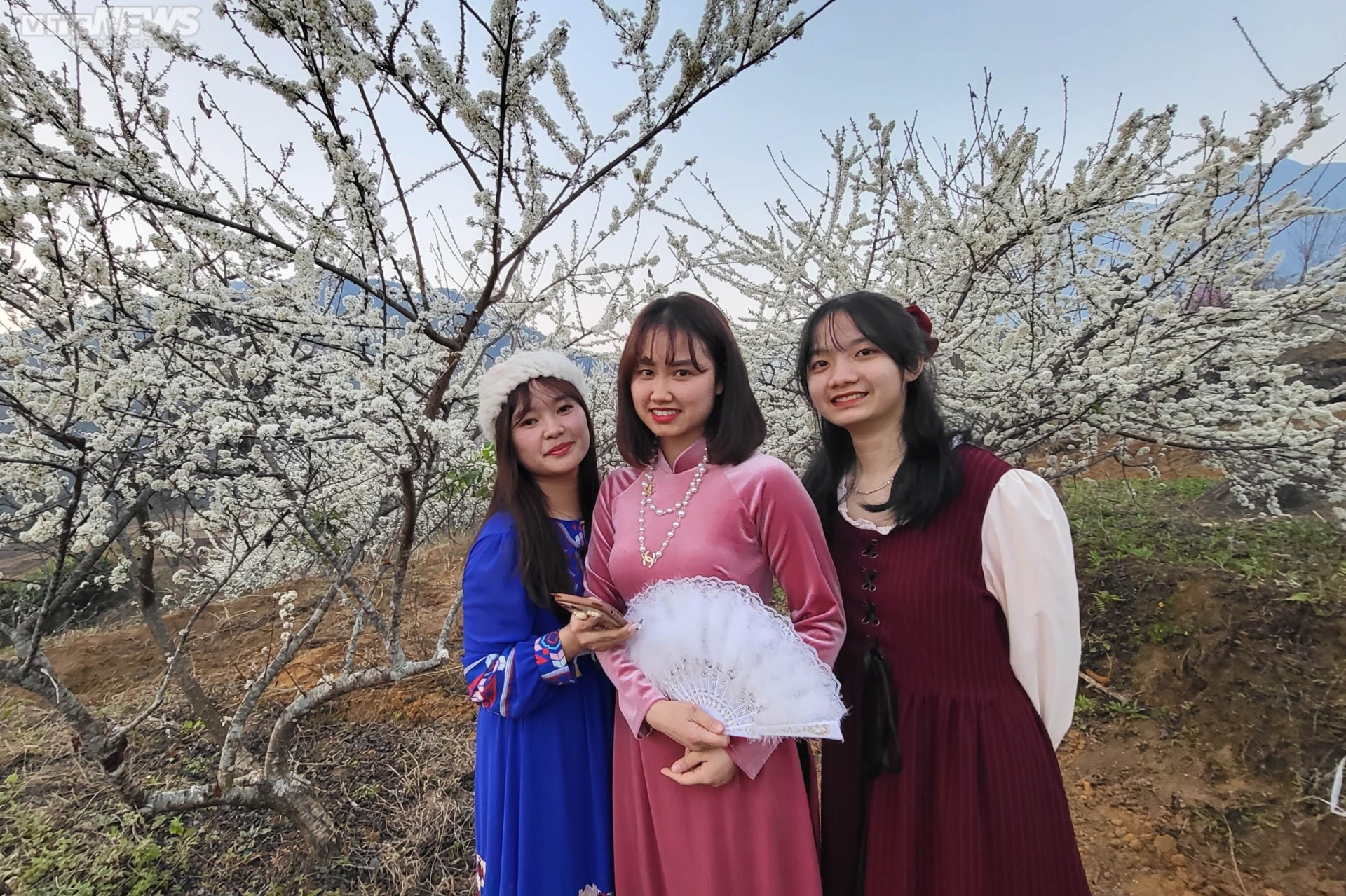 Mê mẩn hoa mận trắng tinh khôi giữa núi rừng Chu Lìn - 8