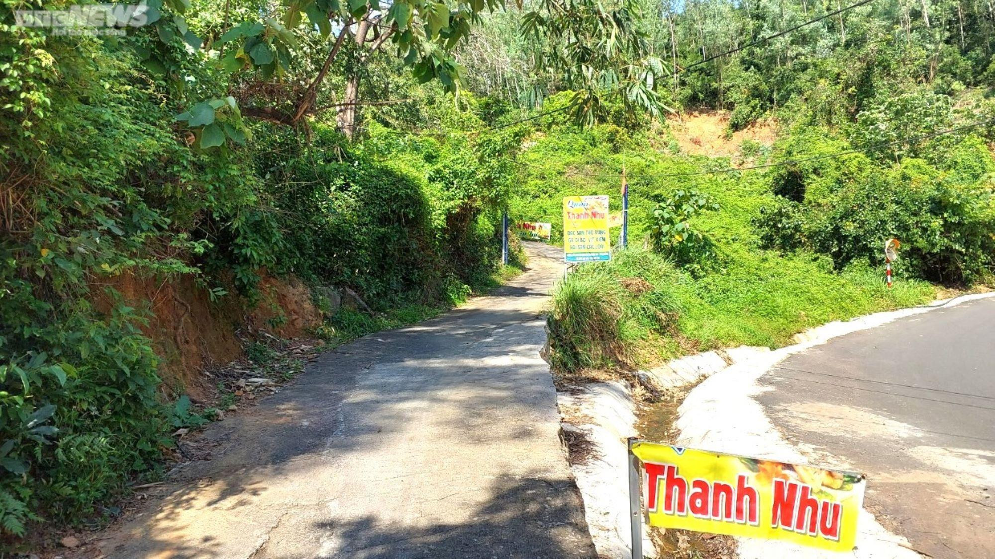 Cận cảnh 58 công trình trái phép trên bán đảo Sơn Trà - 7