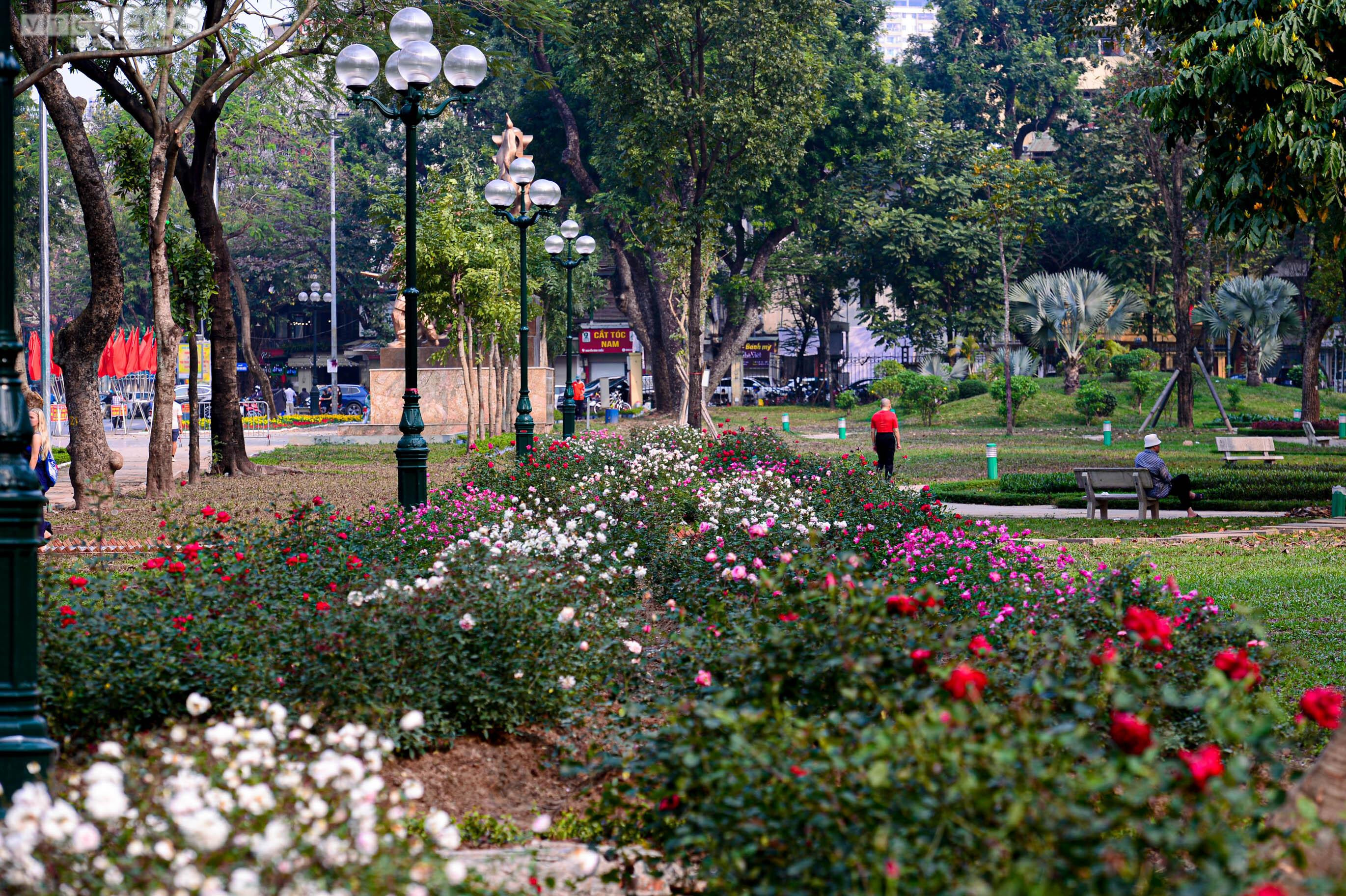 Diện mạo mới của Công viên Thống Nhất sau khi hạ rào để kết nối phố đi bộ - 5