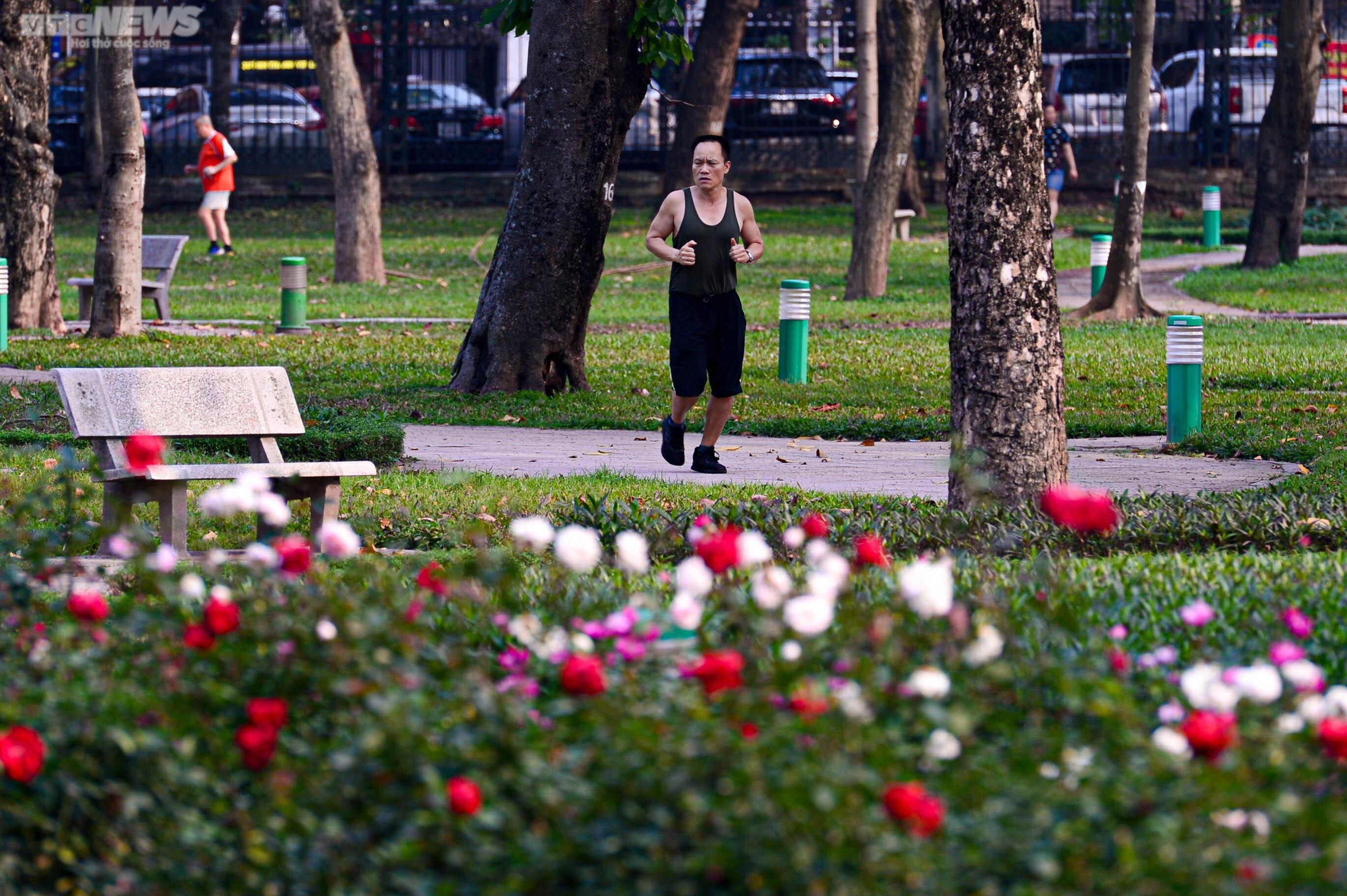 Diện mạo mới của Công viên Thống Nhất sau khi hạ rào để kết nối phố đi bộ - 6