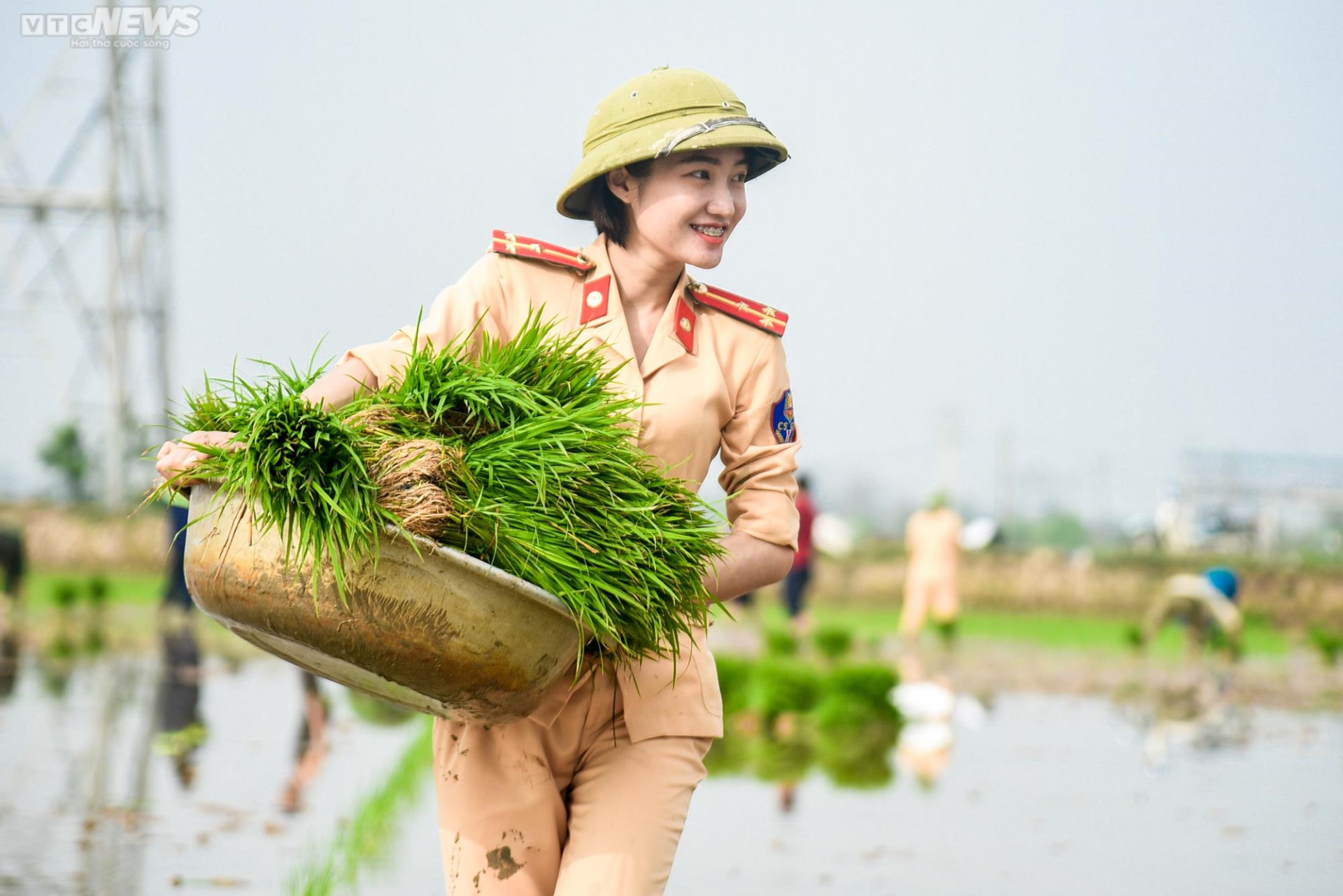 Vẻ đẹp bình dị của Công an Thủ đô khi lội ruộng cấy lúa cùng dân - 2