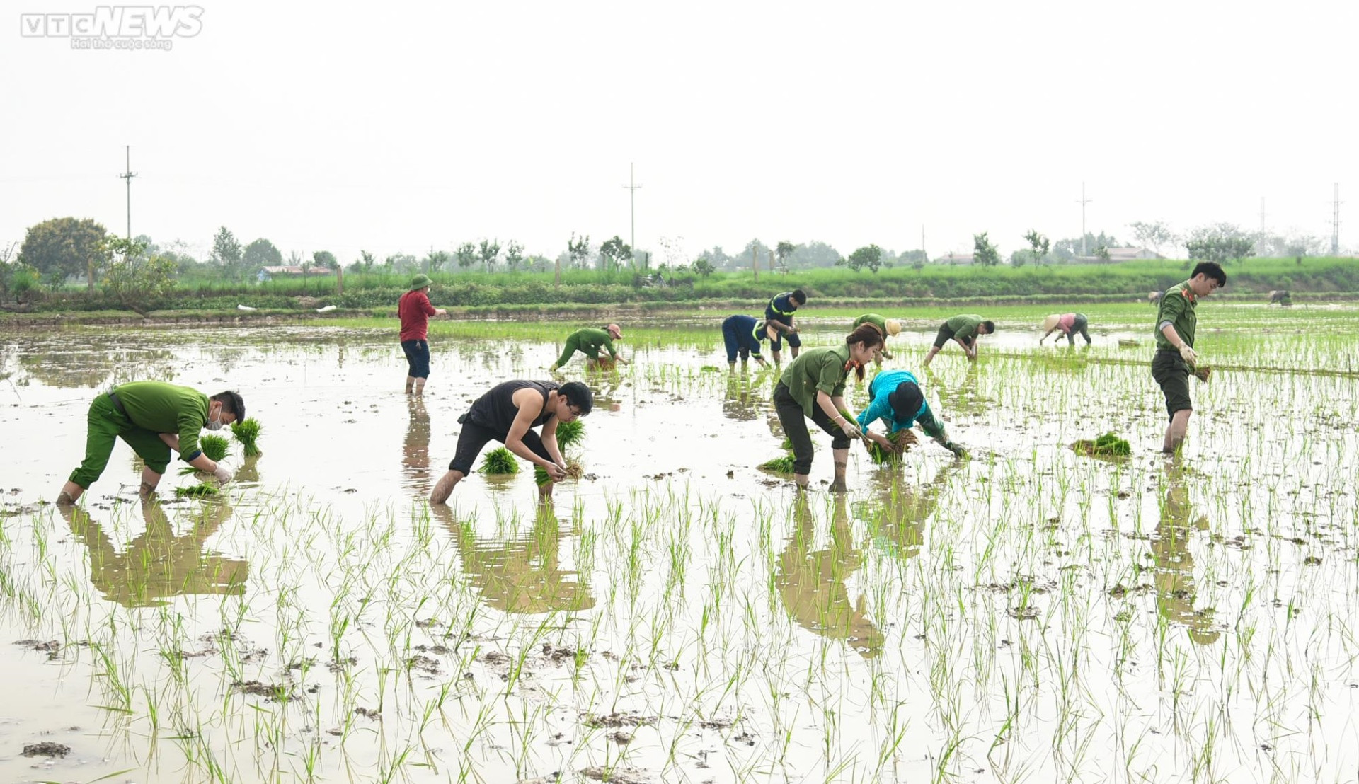 Vẻ đẹp bình dị của Công an Thủ đô khi lội ruộng cấy lúa cùng dân - 5