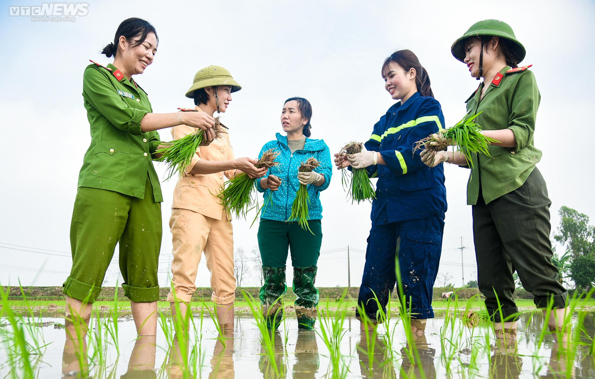 Vẻ đẹp bình dị của Công an Thủ đô khi lội ruộng cấy lúa cùng dân - 10