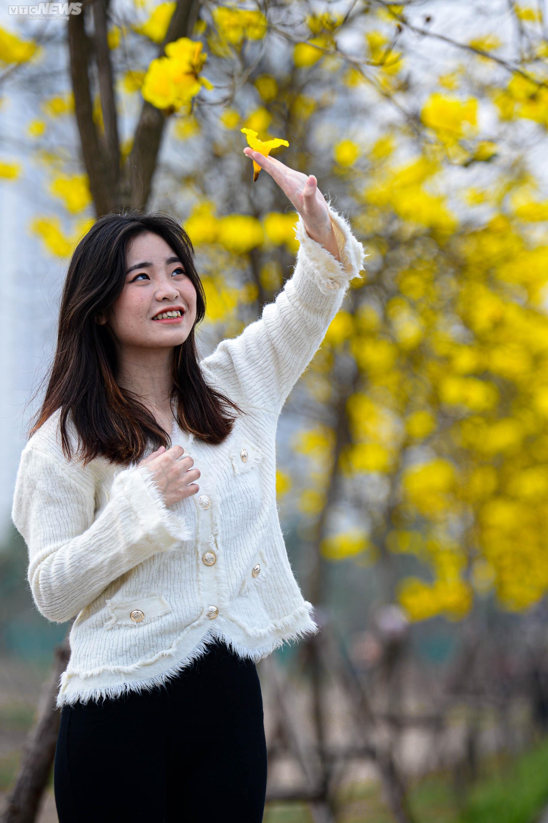 Mê mẩn ngắm nhìn con đường hoa phong linh vàng rực rỡ ở Thủ đô - 10