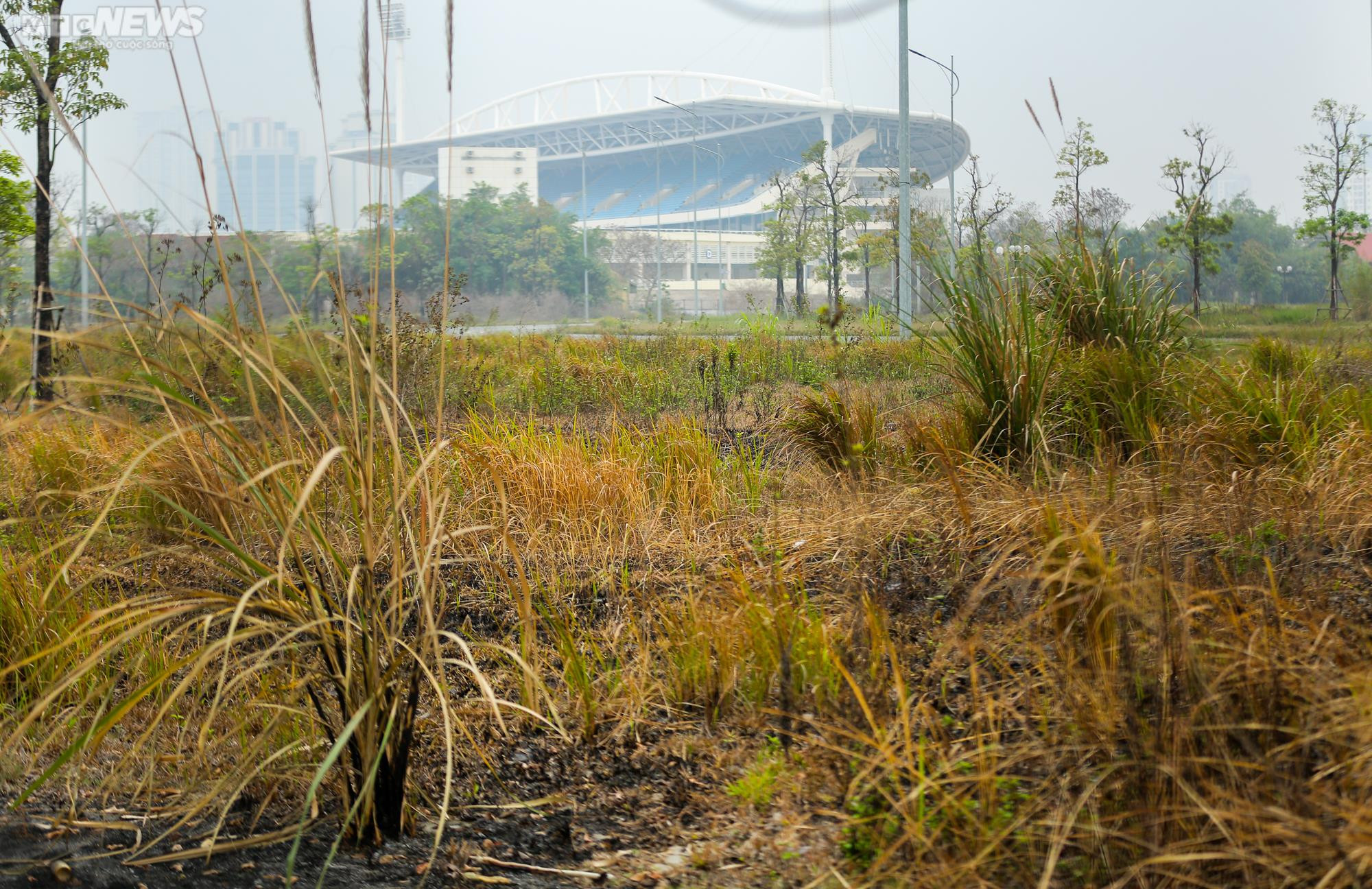 Rác thải bủa vây, khói ám chết cả cây trên đường đua F1 - 13