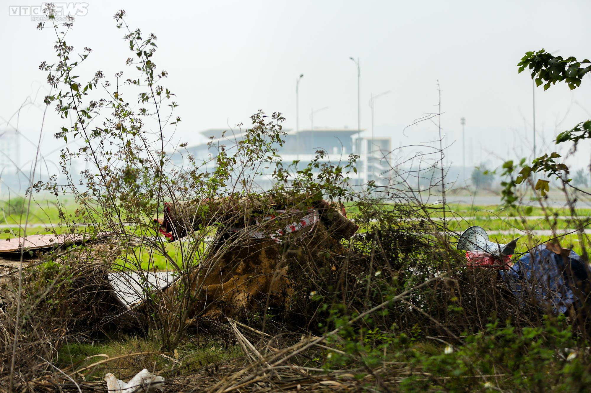 Rác thải bủa vây, khói ám chết cả cây trên đường đua F1 - 15