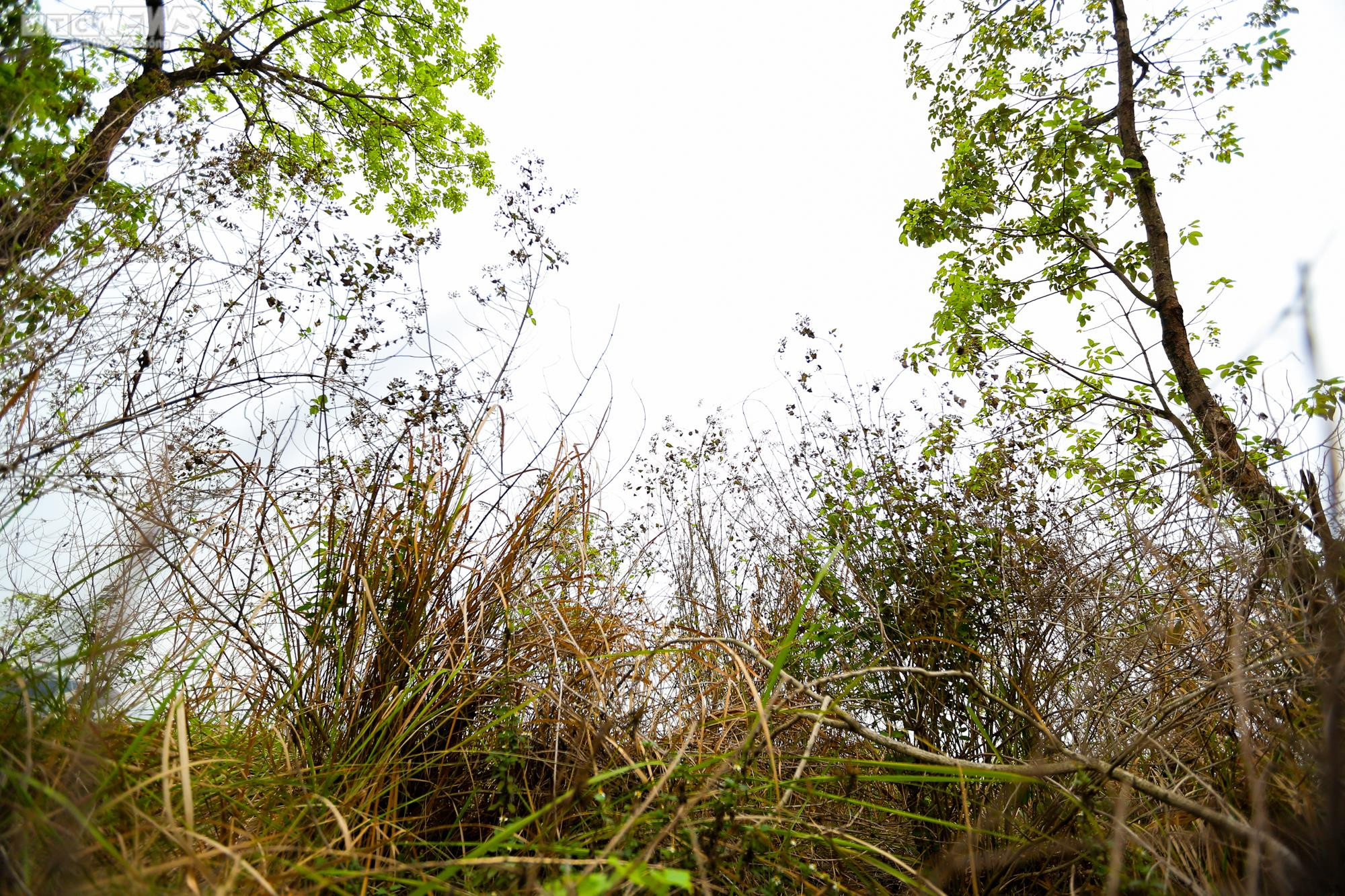 Rác thải bủa vây, khói ám chết cả cây trên đường đua F1 - 14