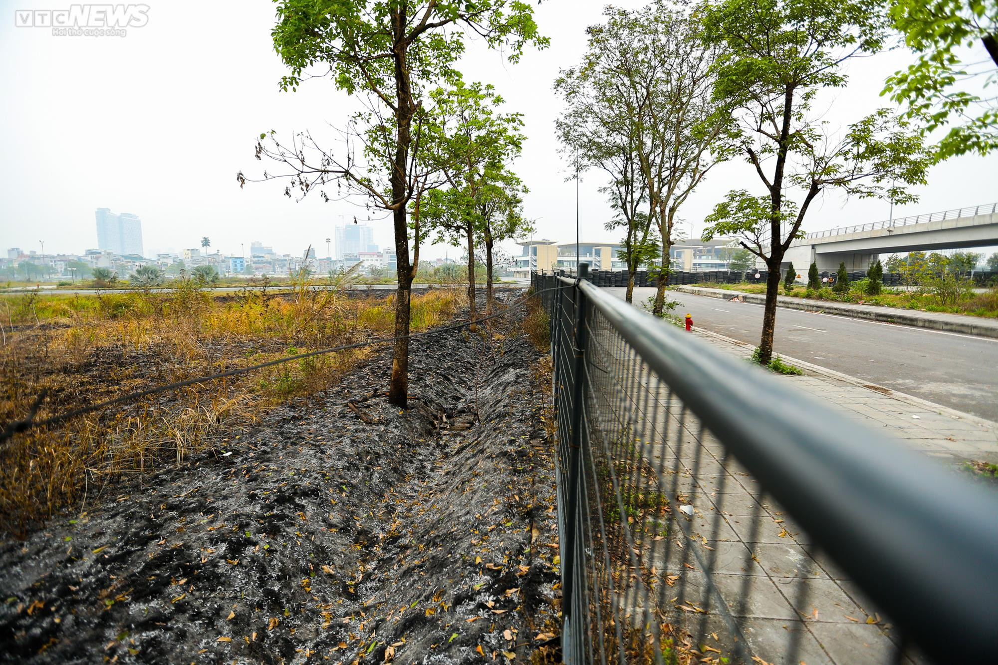 Rác thải bủa vây, khói ám chết cả cây trên đường đua F1 - 9