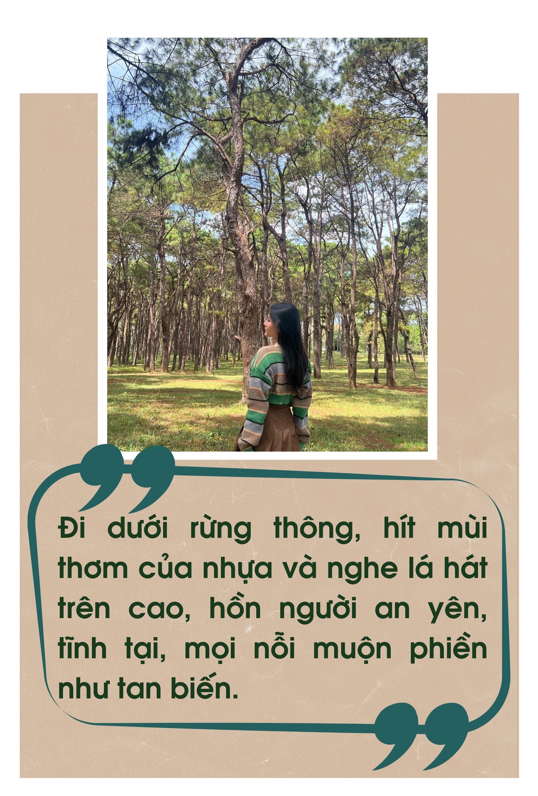 Tiếng khóc của một hạt thông giữa rừng Đà Lạt - 3